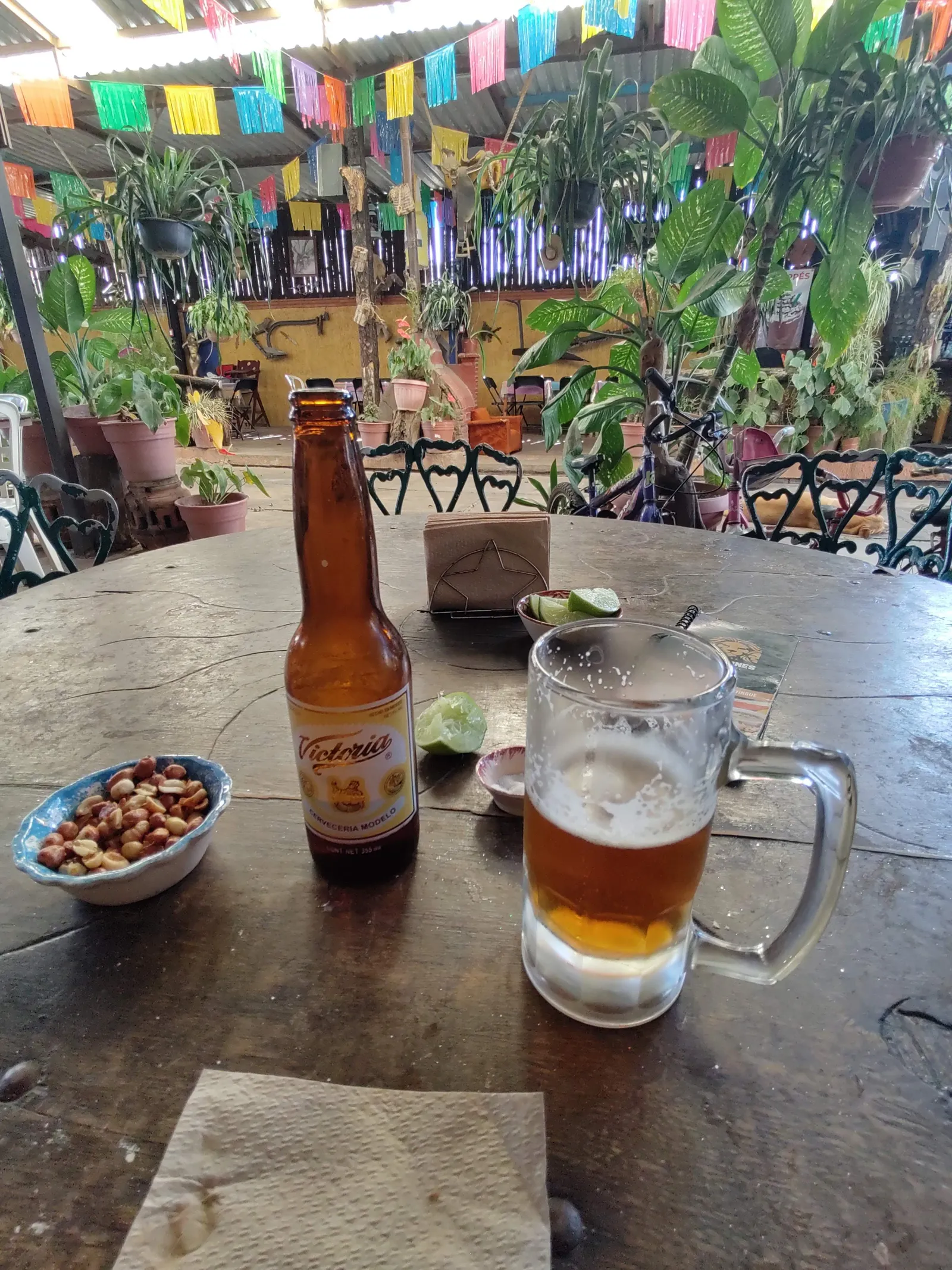 Restaurant Bar Los Leones. image 2