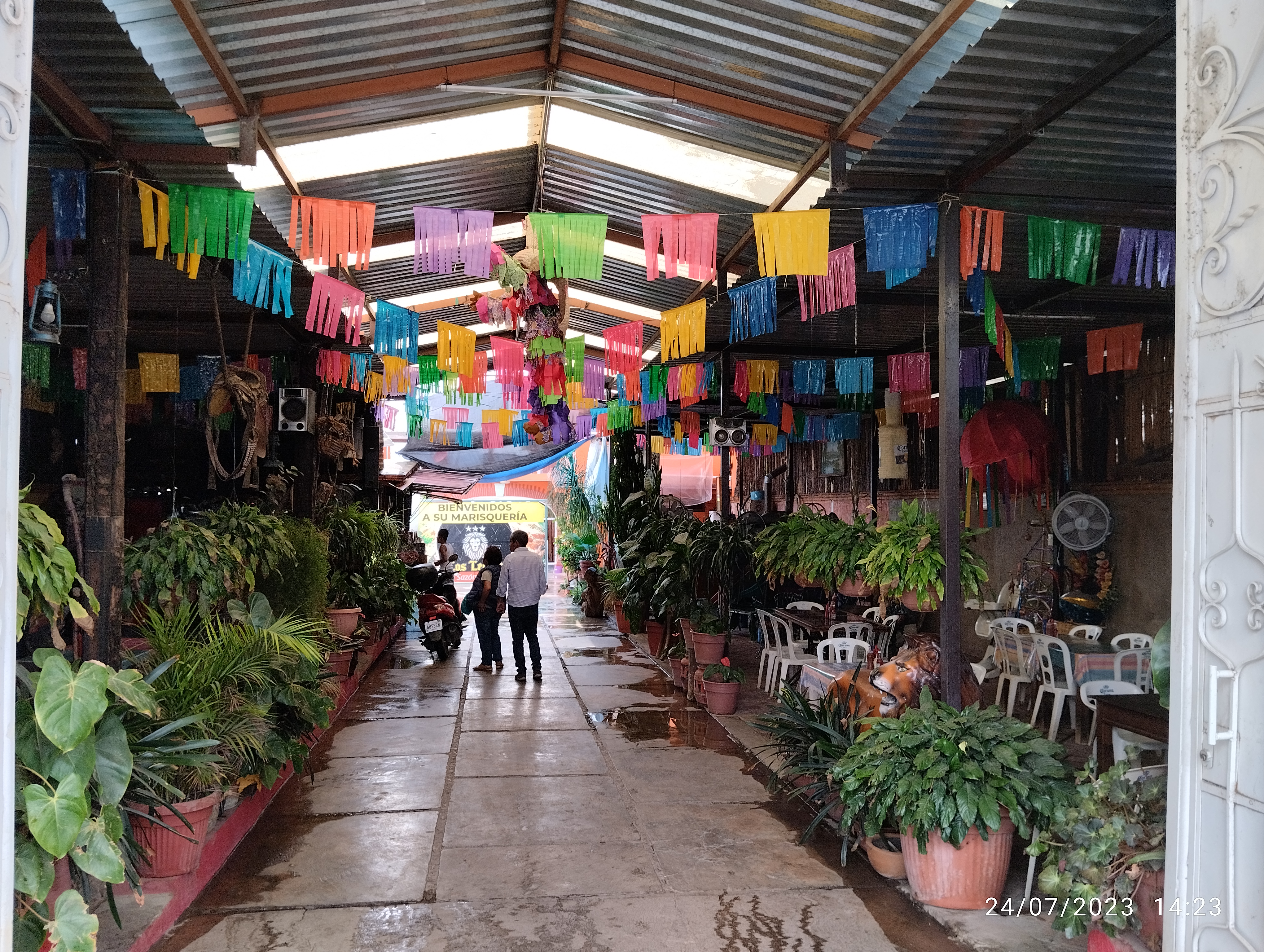 Restaurant Bar Los Leones. image 9