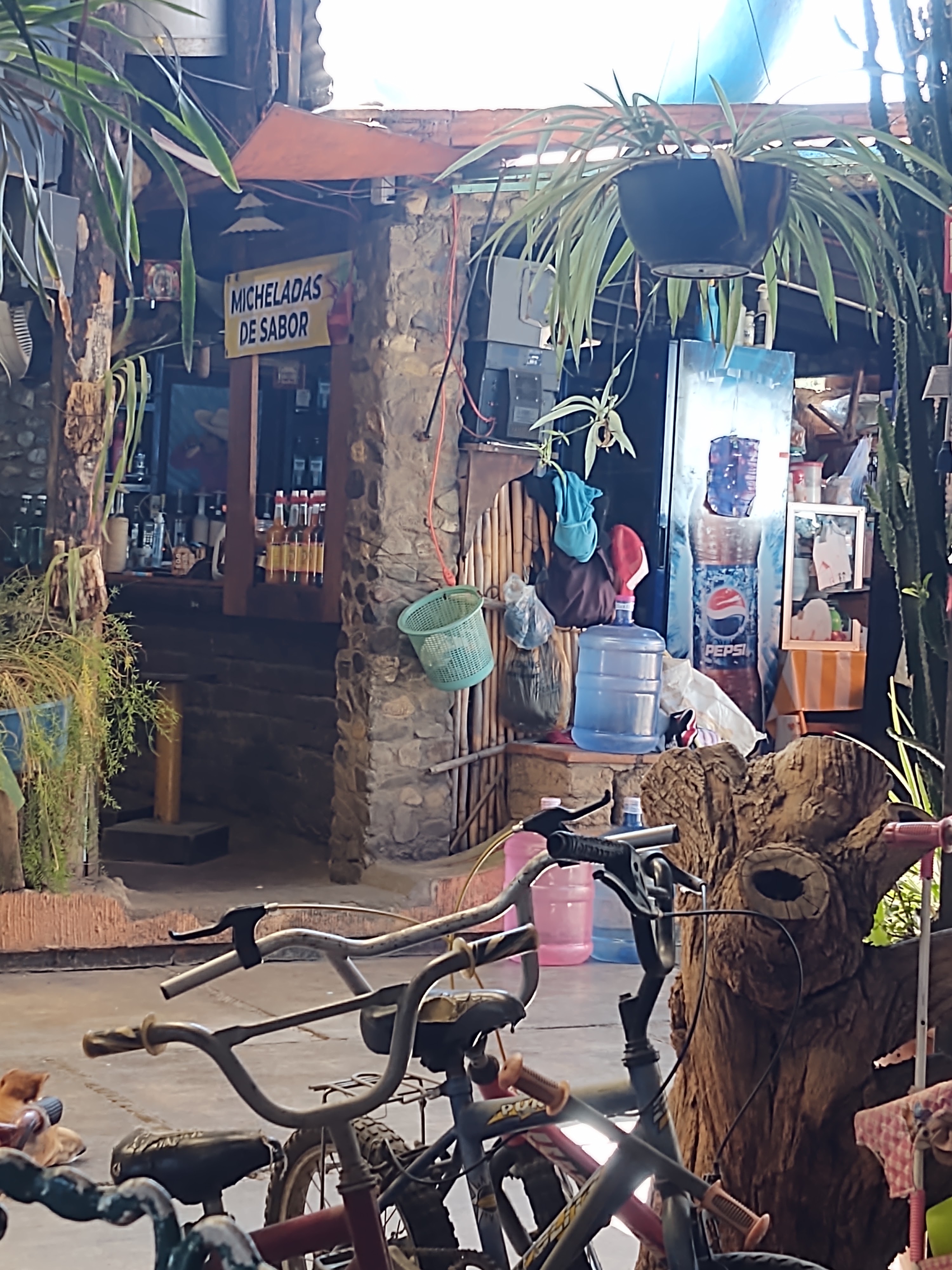 Restaurant Bar Los Leones. image 10