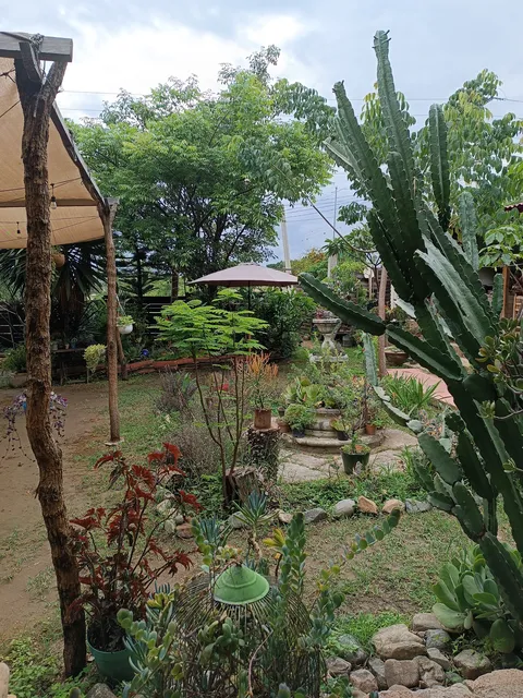 Casa Isabel image 3
