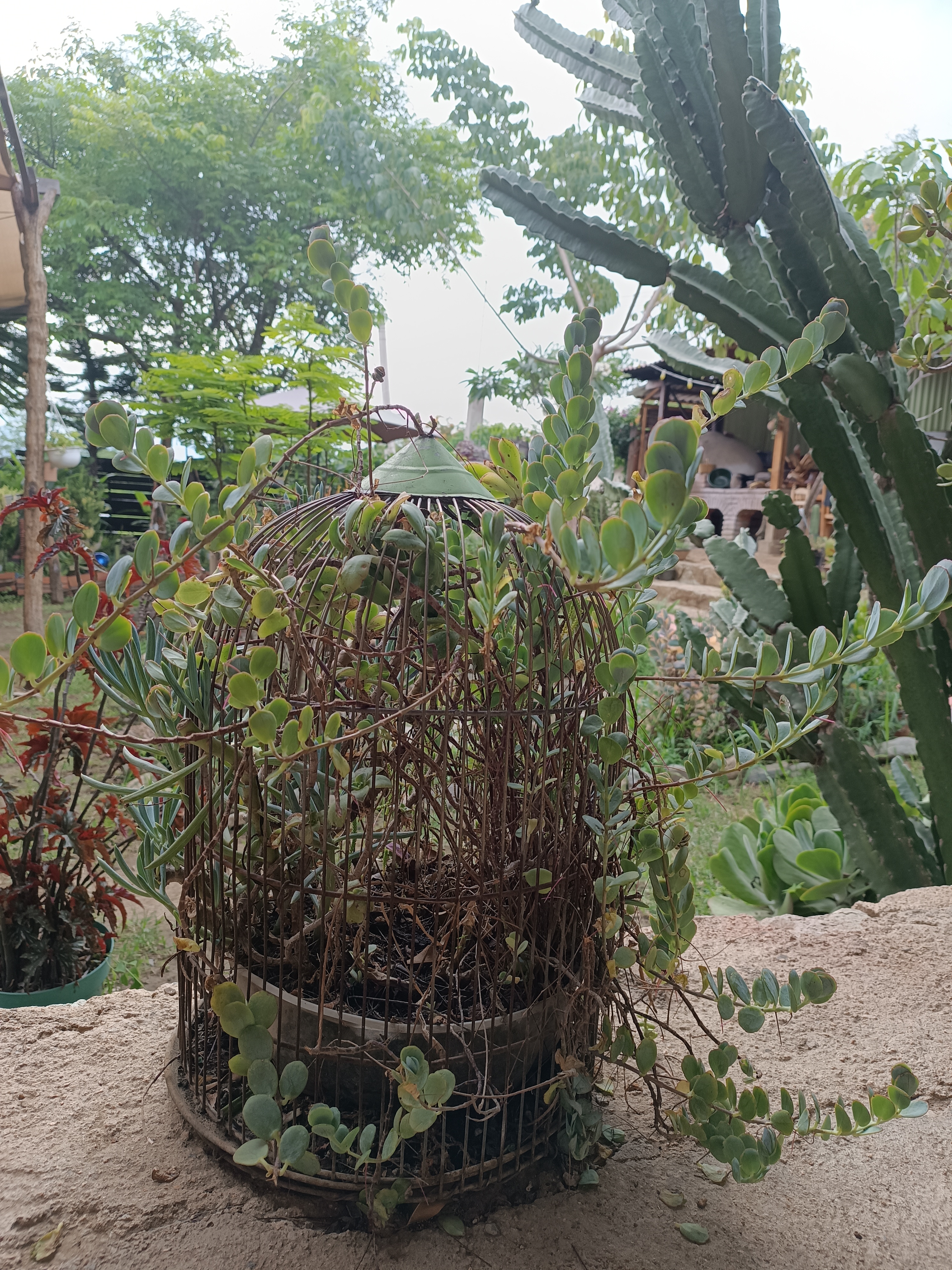 Casa Isabel image 10