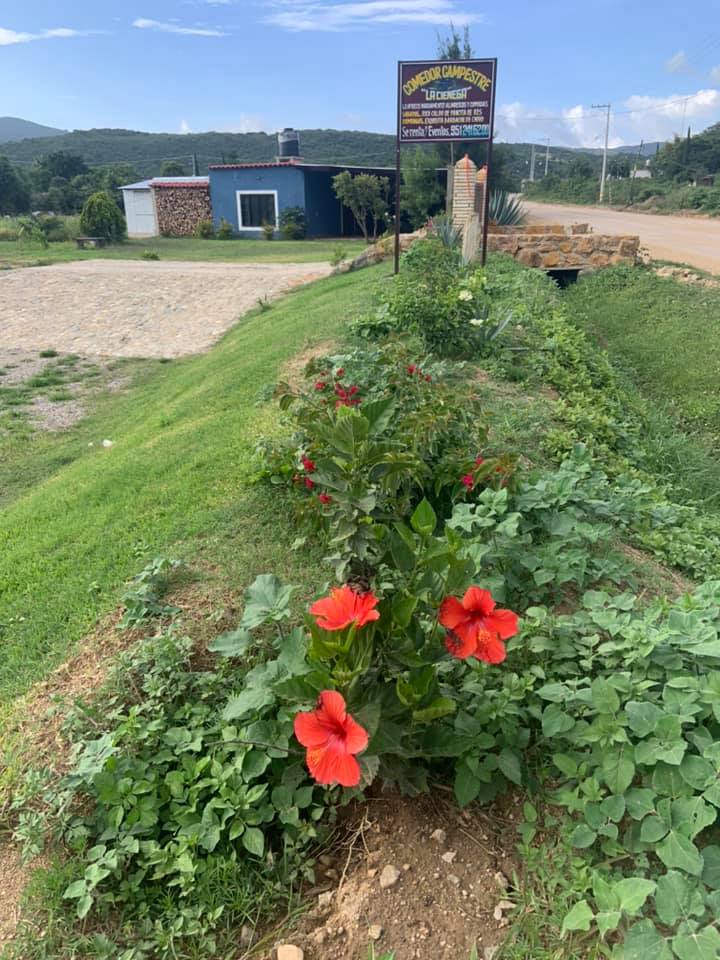 Comedor Campestre "La Ciénega" image 6