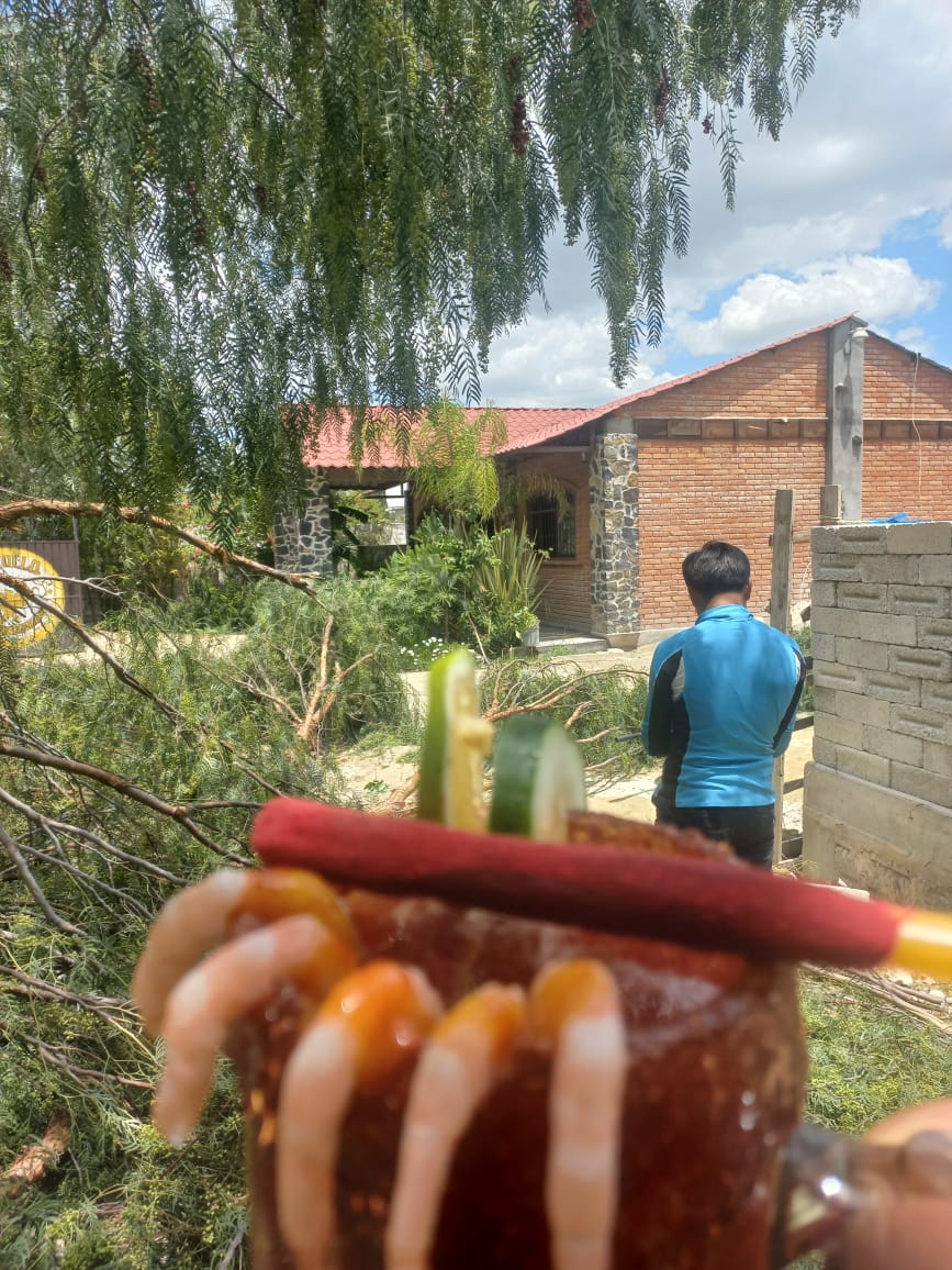 Centro botanero CANDELA image 6