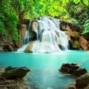 Comedor Los Arcos image 1