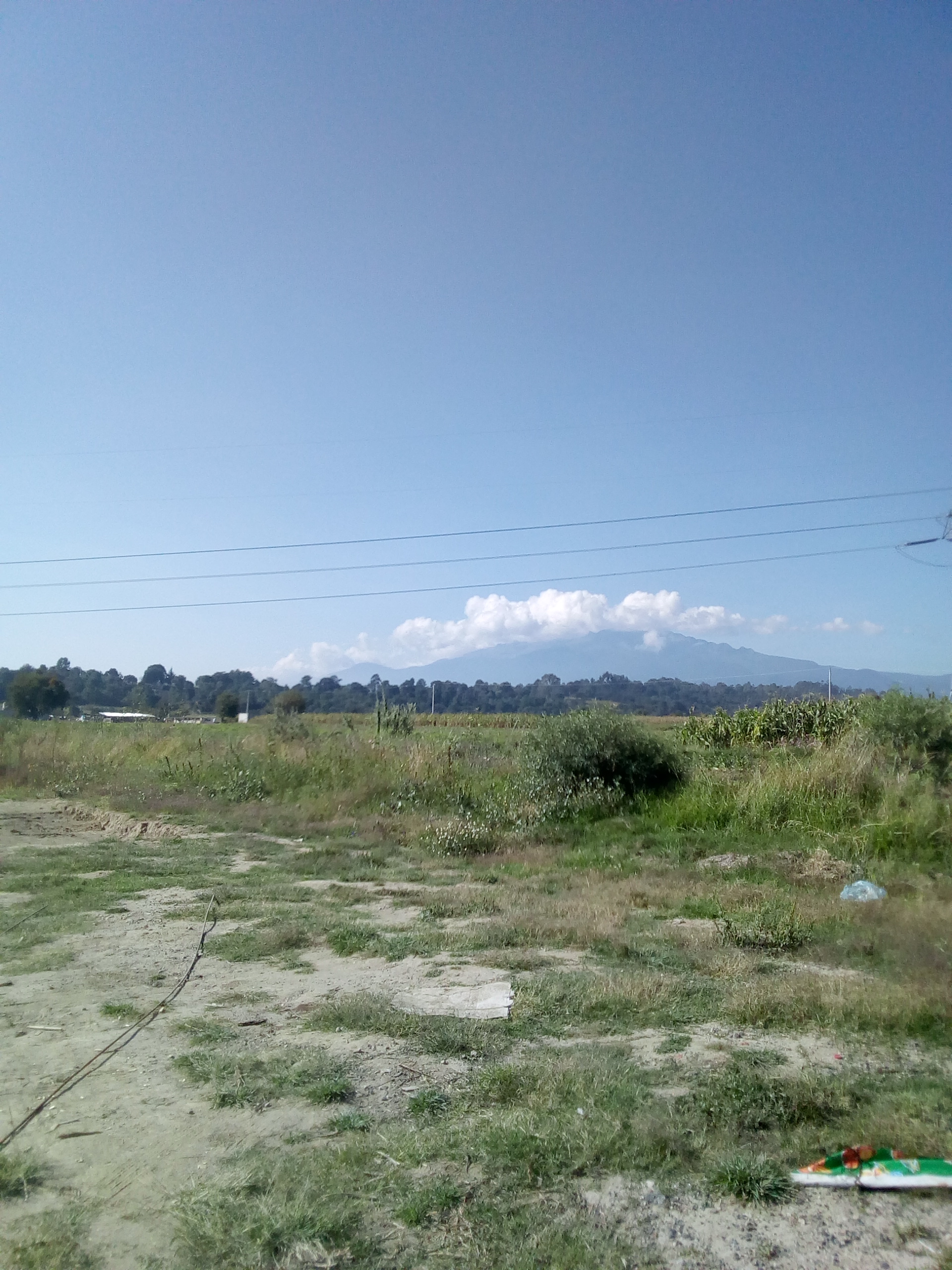 Comedor Los Arcos image 2