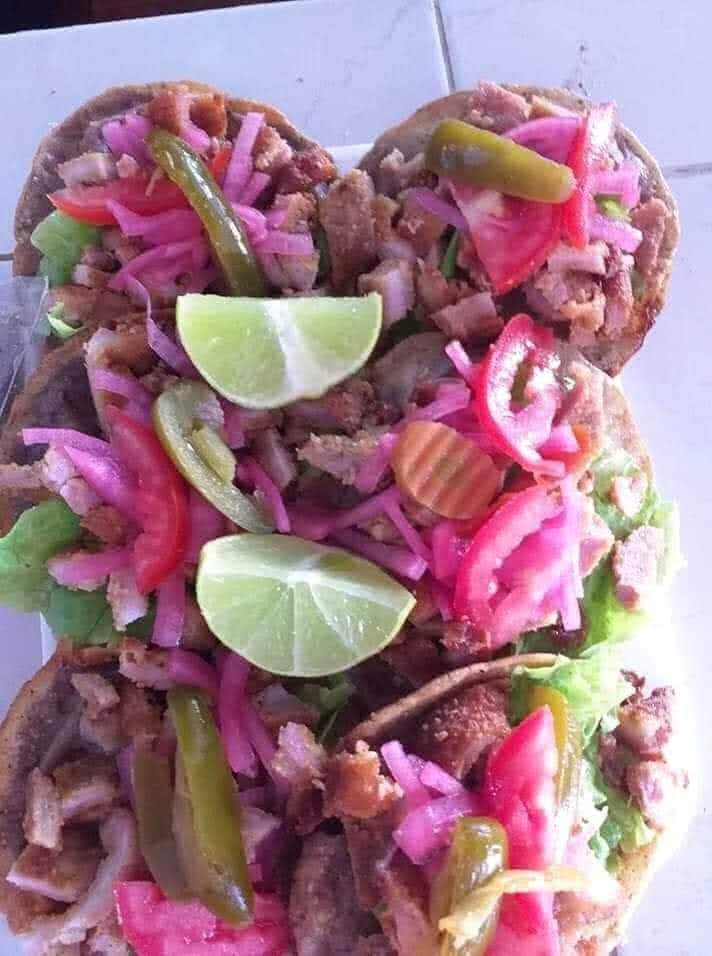 LONCHERIA GOROCICA DMARTIN image 1