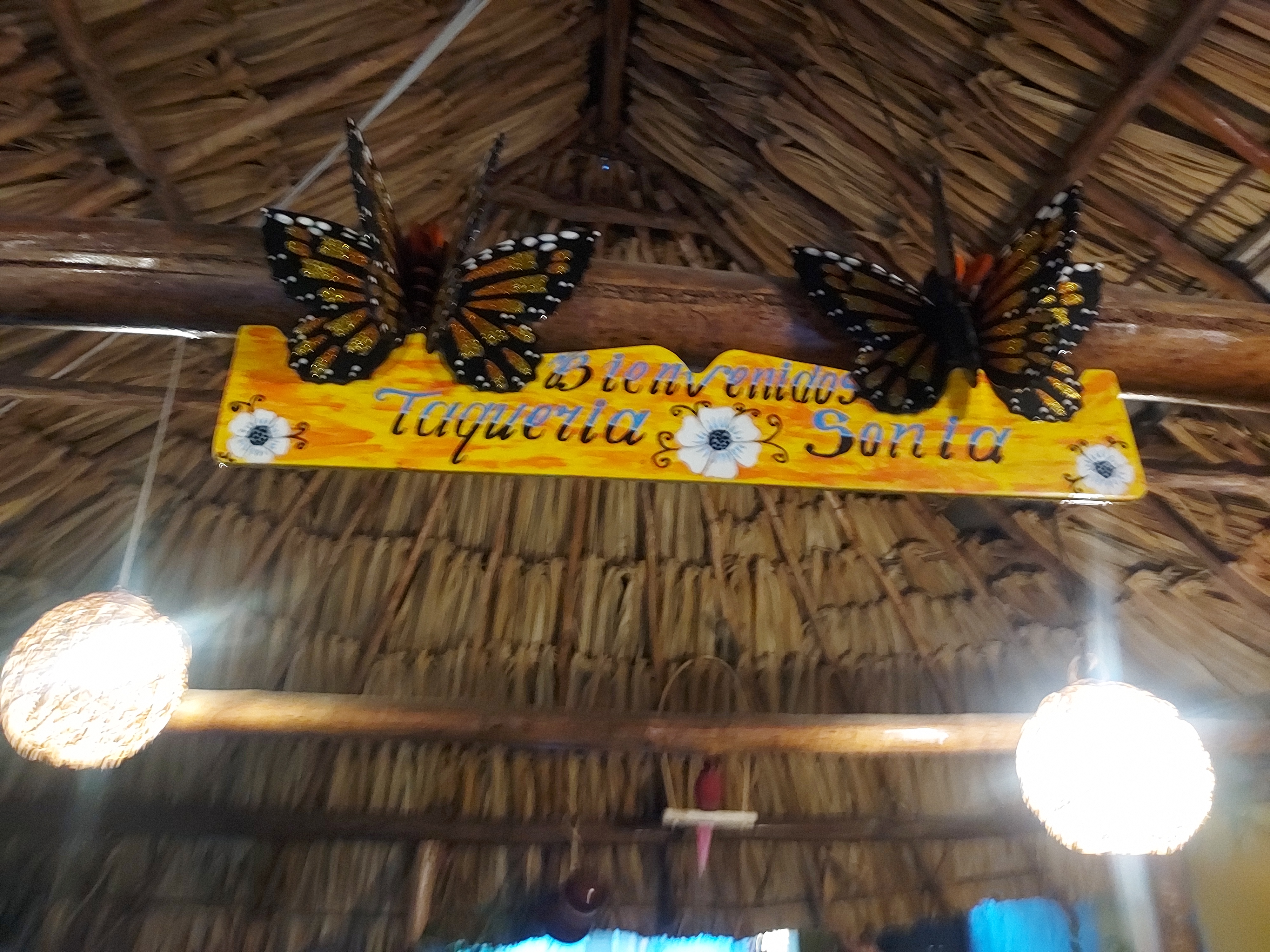 Tacos de Sonia image 4