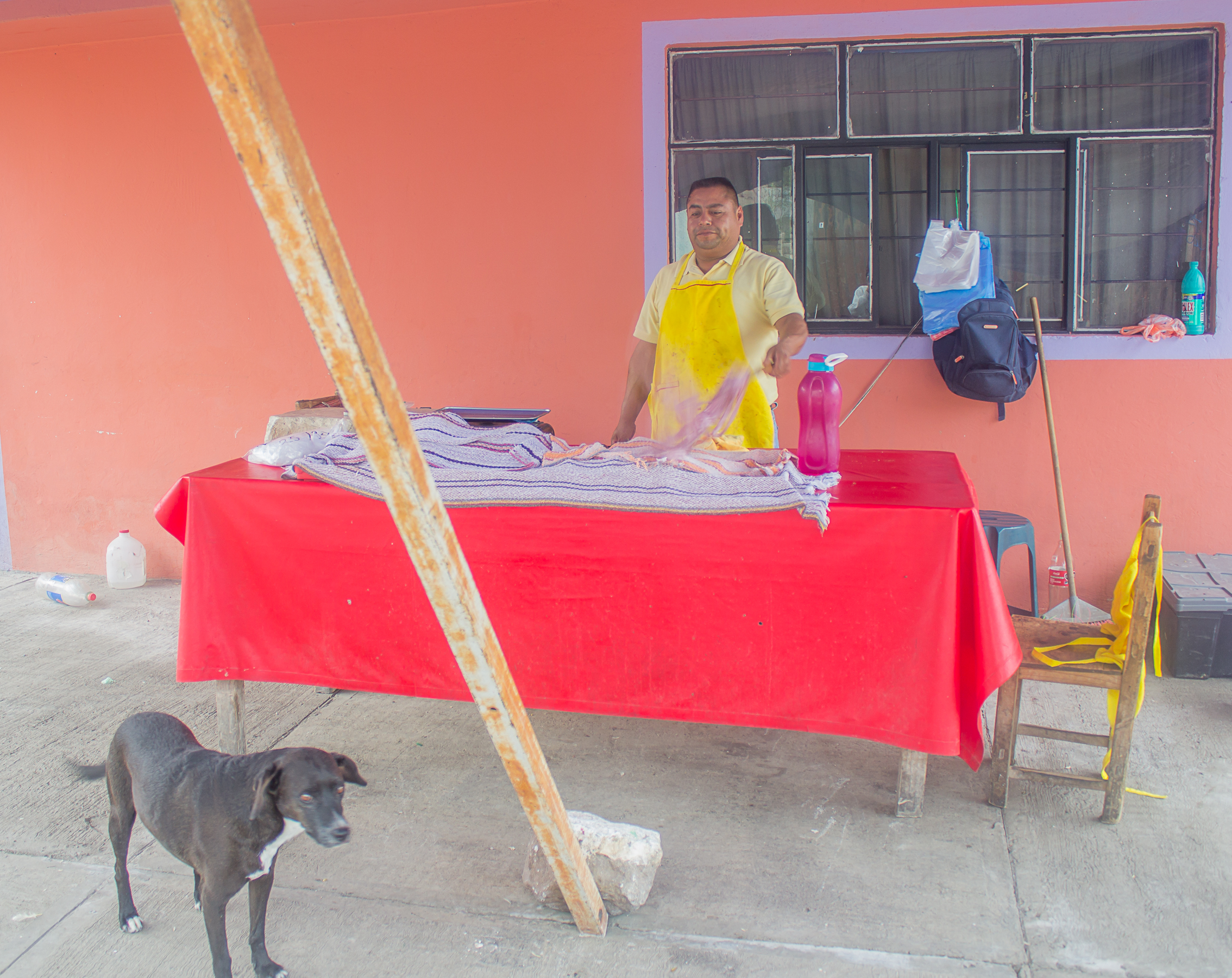 El Pastorcito image 2