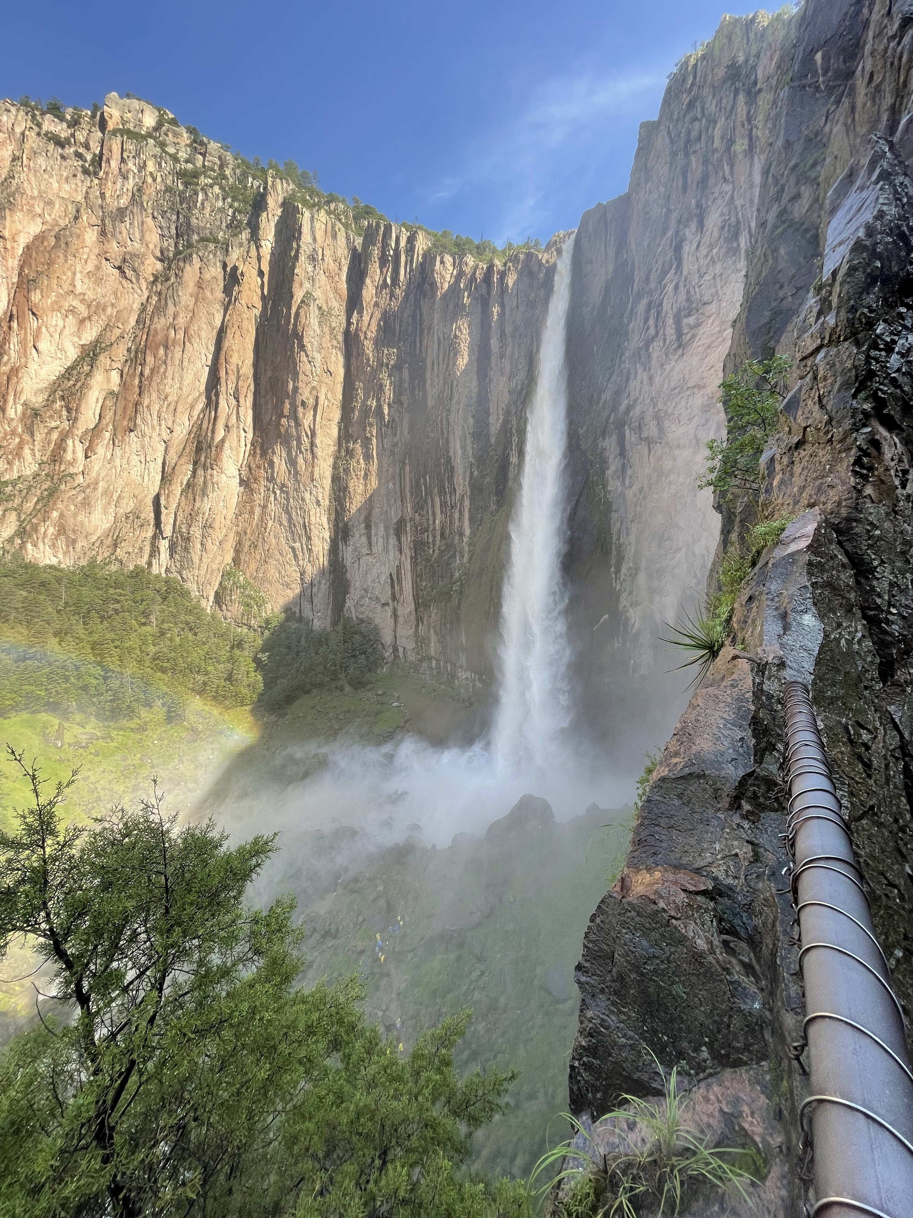 La Cabaña de Lupita image 3