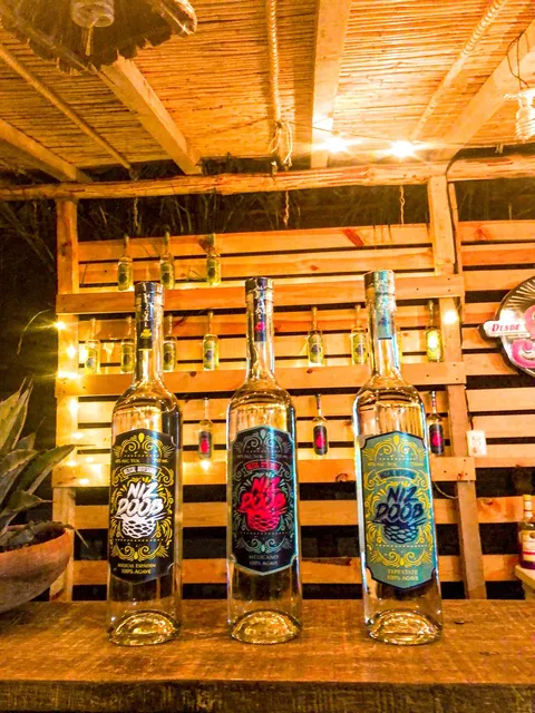 MEZCALERIA NIZ DOOB image 1