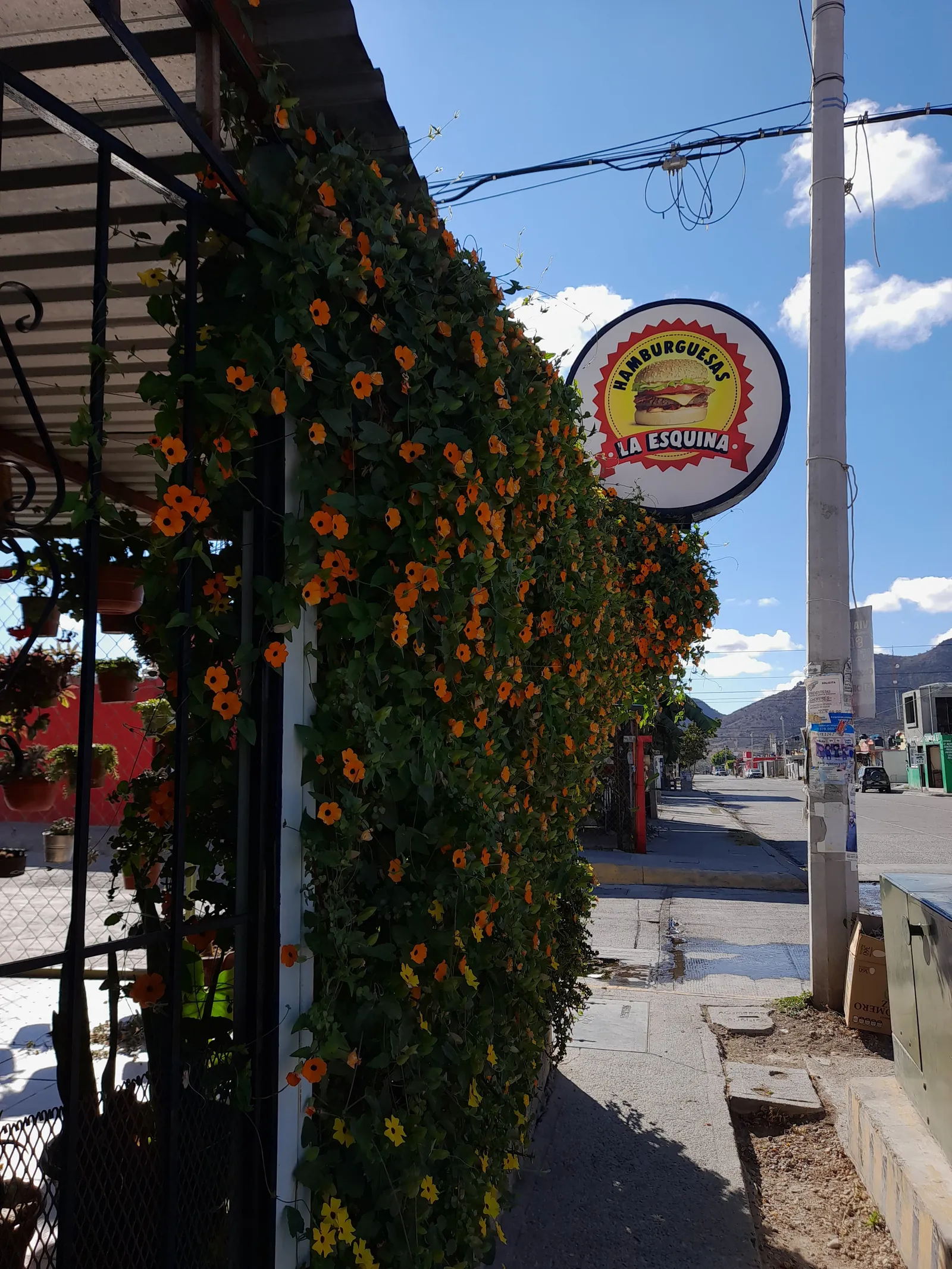 Hamburguesas "La Esquina" image 10