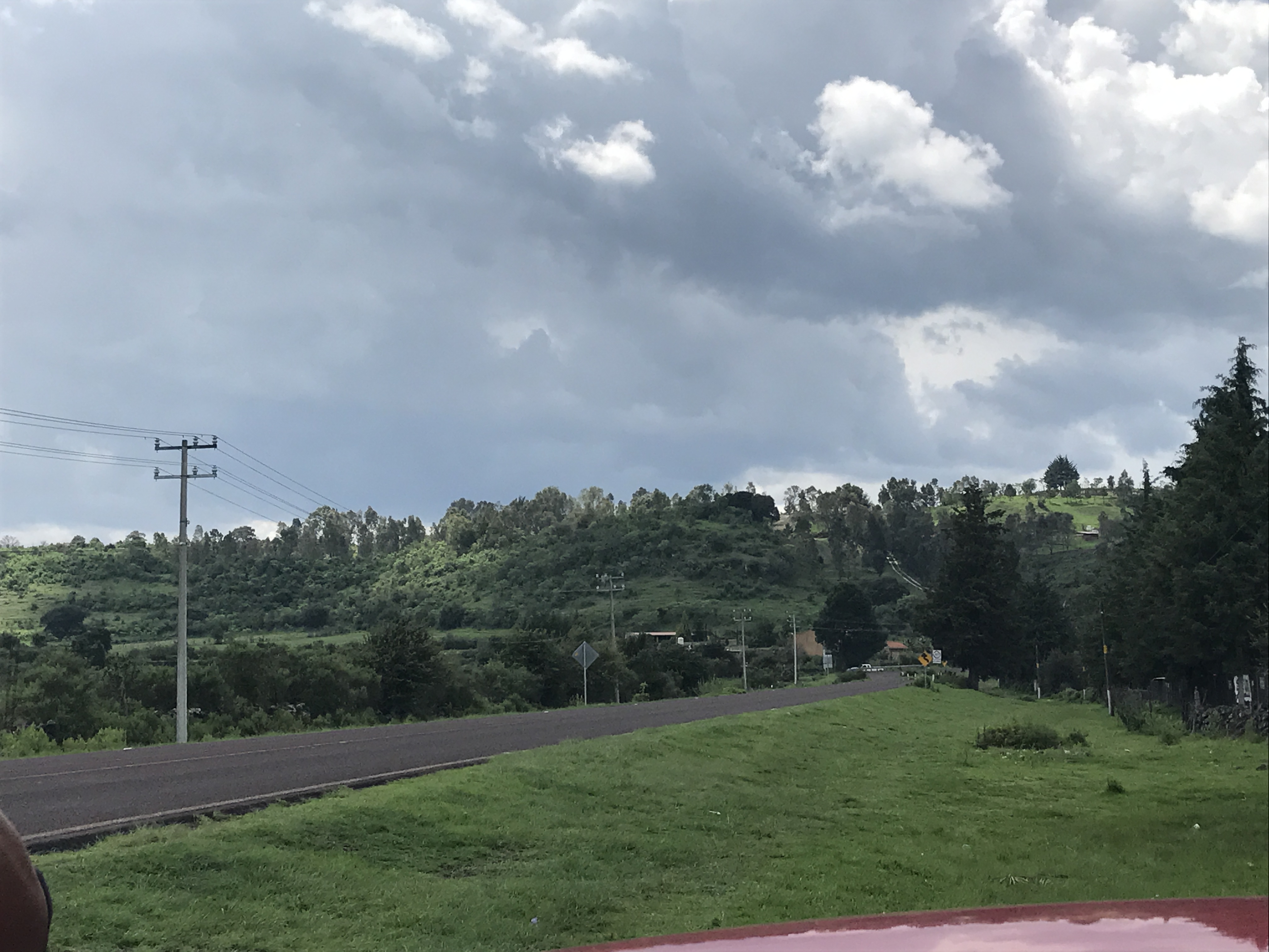 Mariscos El Pameño image 4