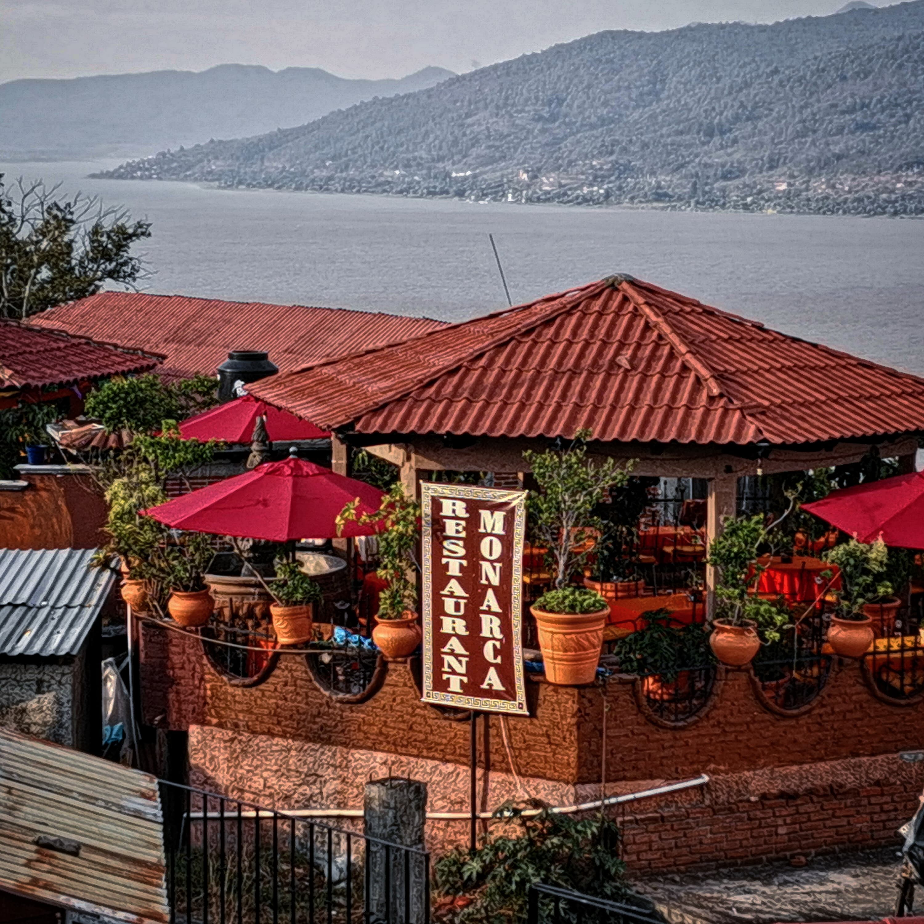 Restauran Monarca image 6