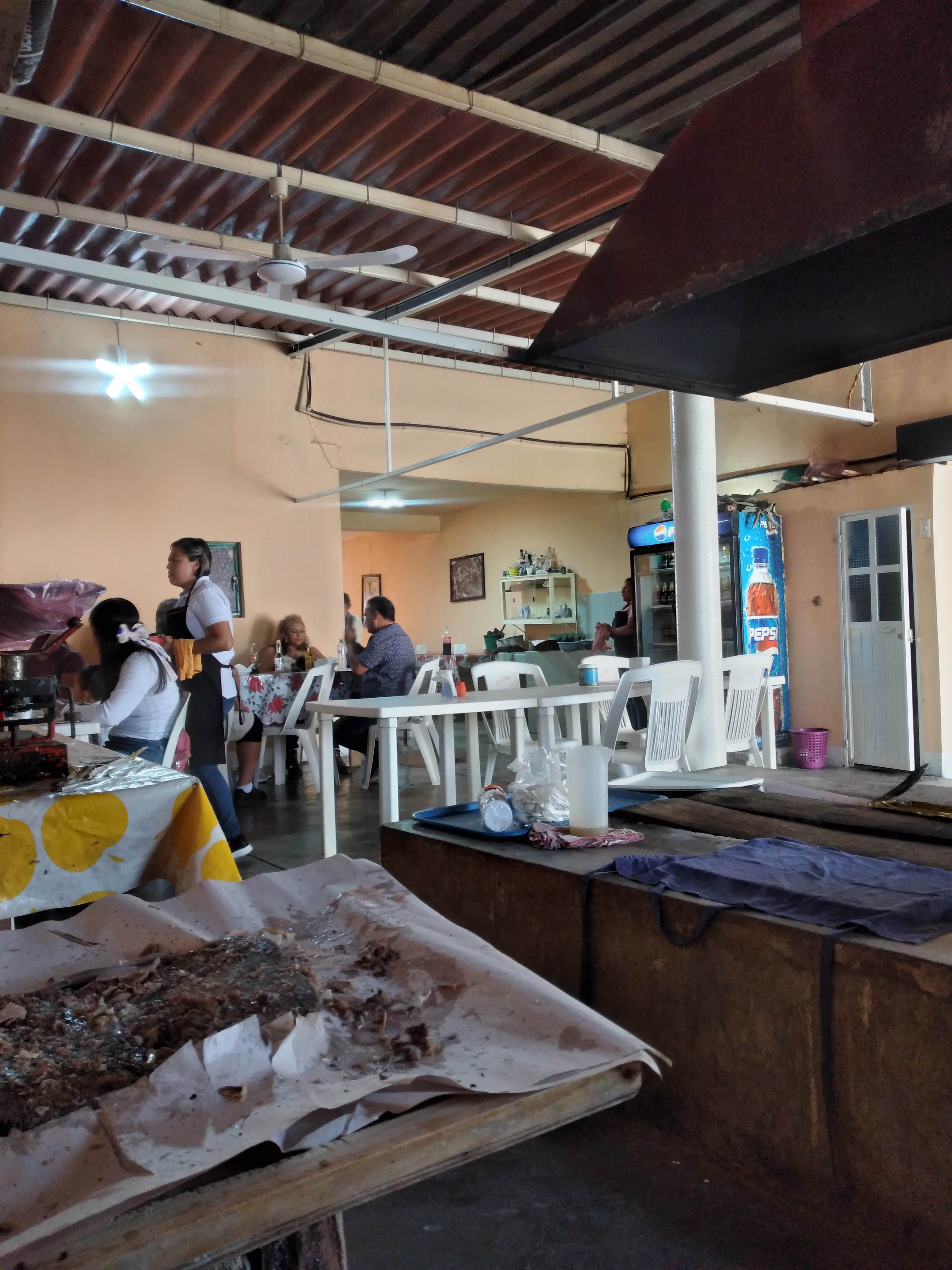 Barvocoa de borrego benjamin image 1