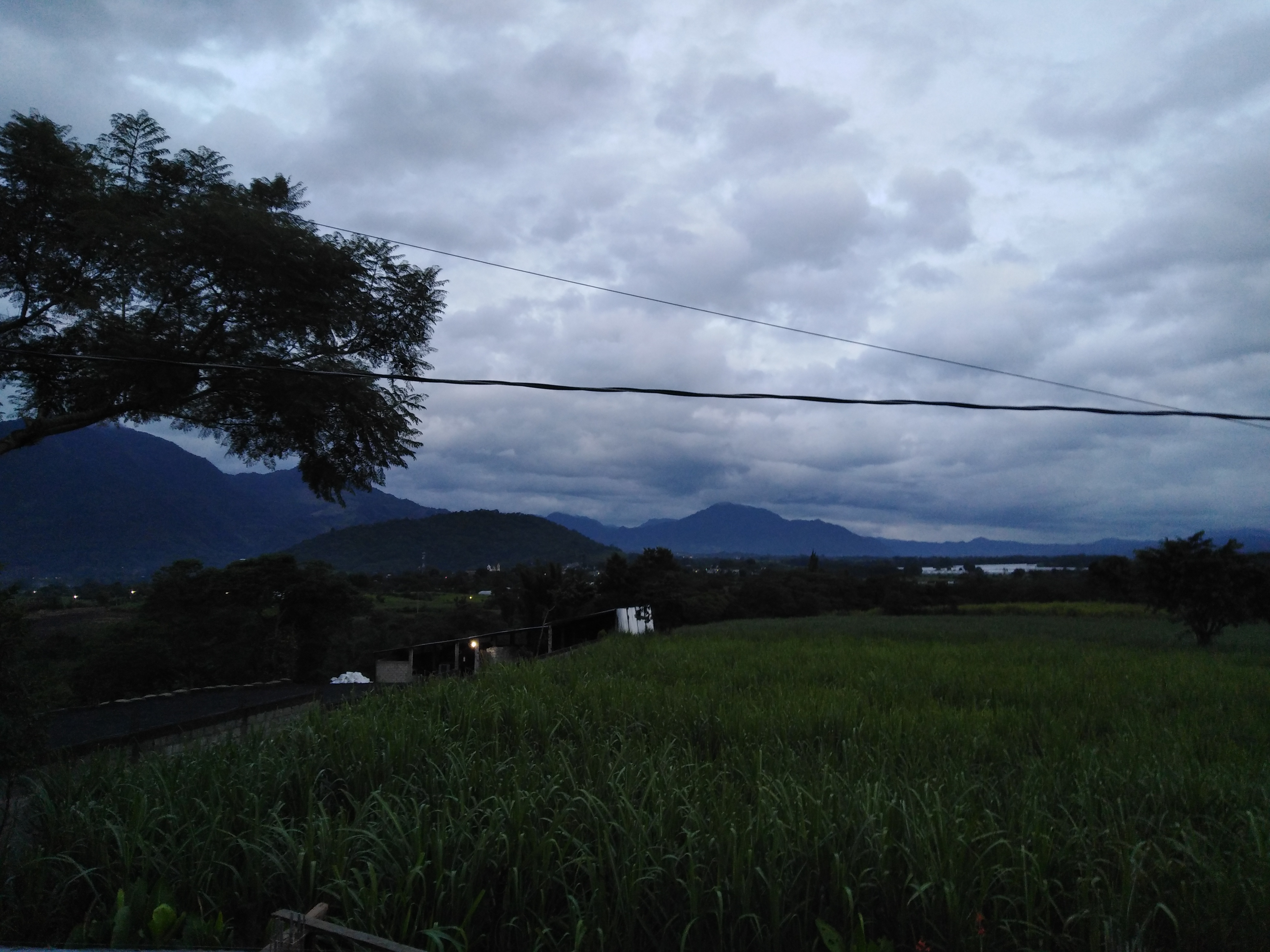 Barvocoa de borrego benjamin image 5