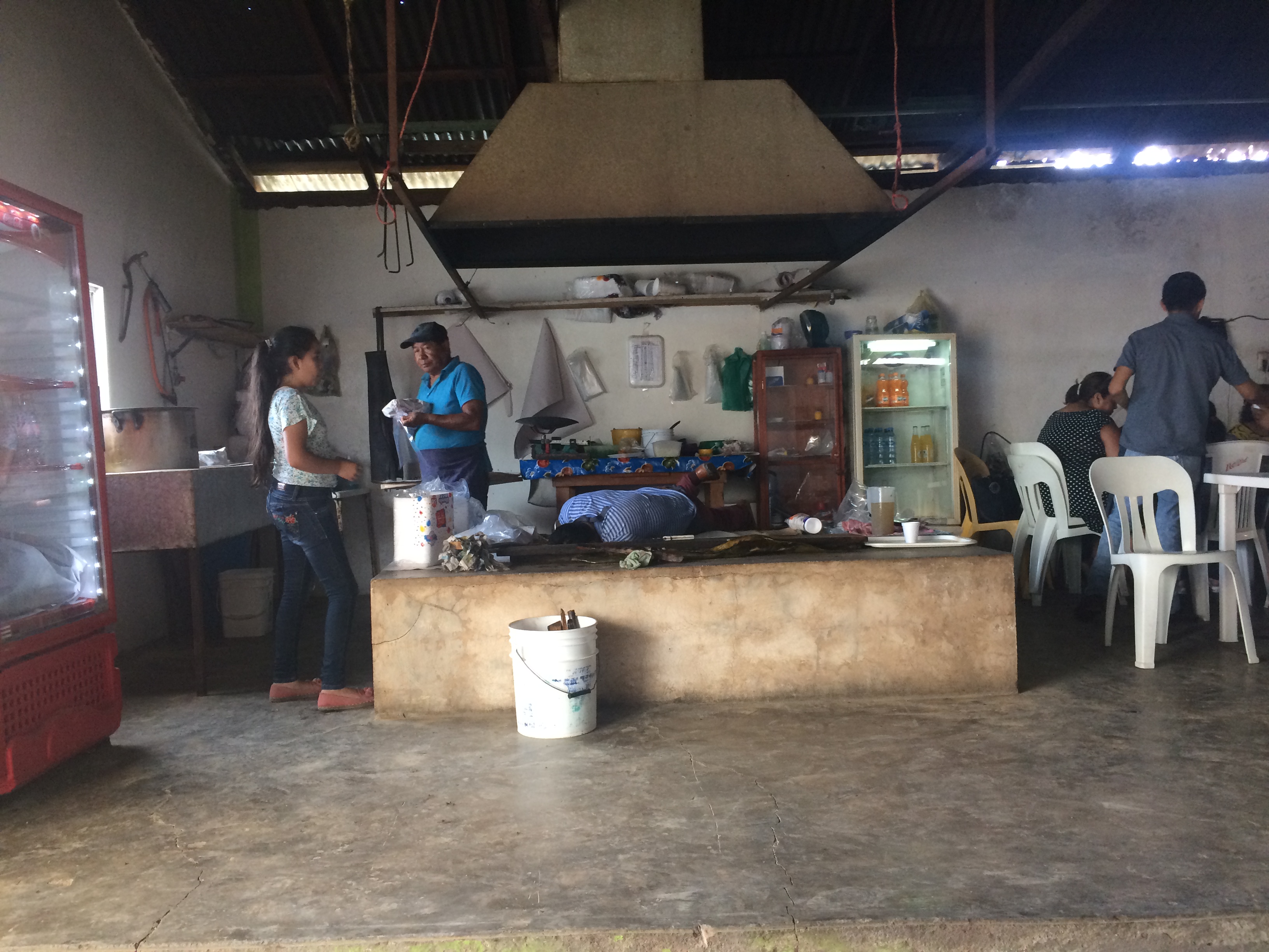 Barvocoa de borrego benjamin image 6