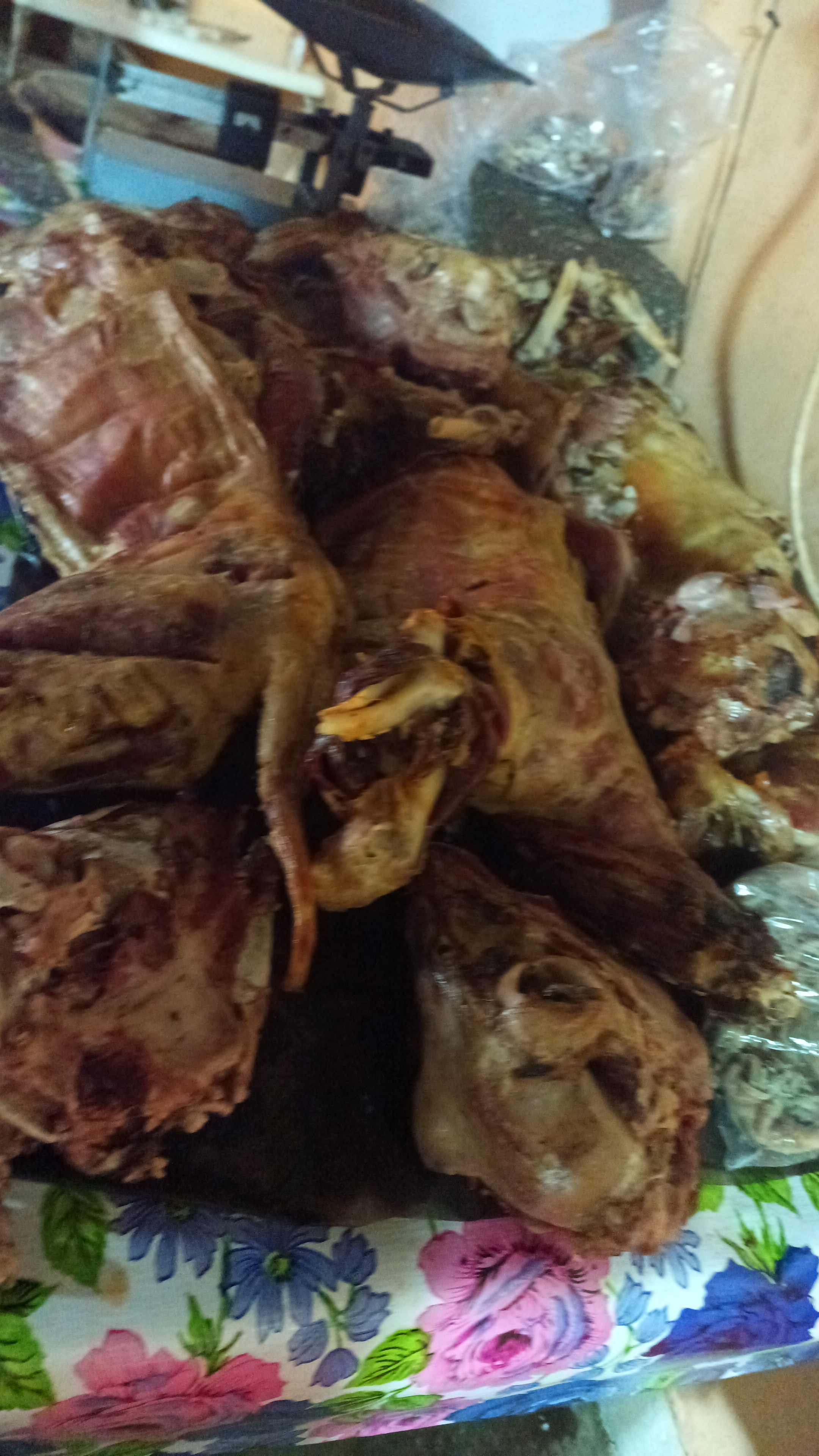 Barvocoa de borrego benjamin image 9