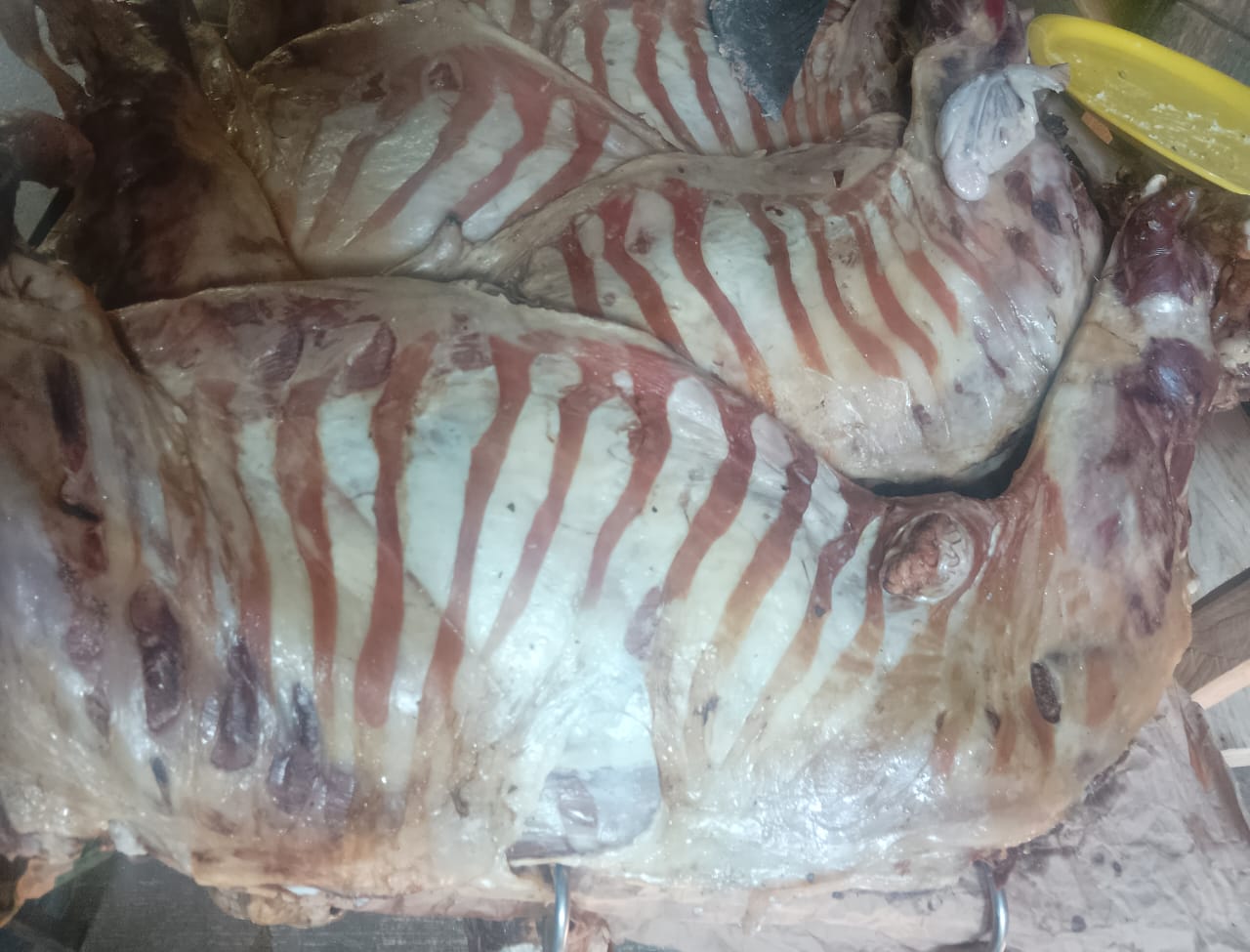 Barbacoa don misael image 5