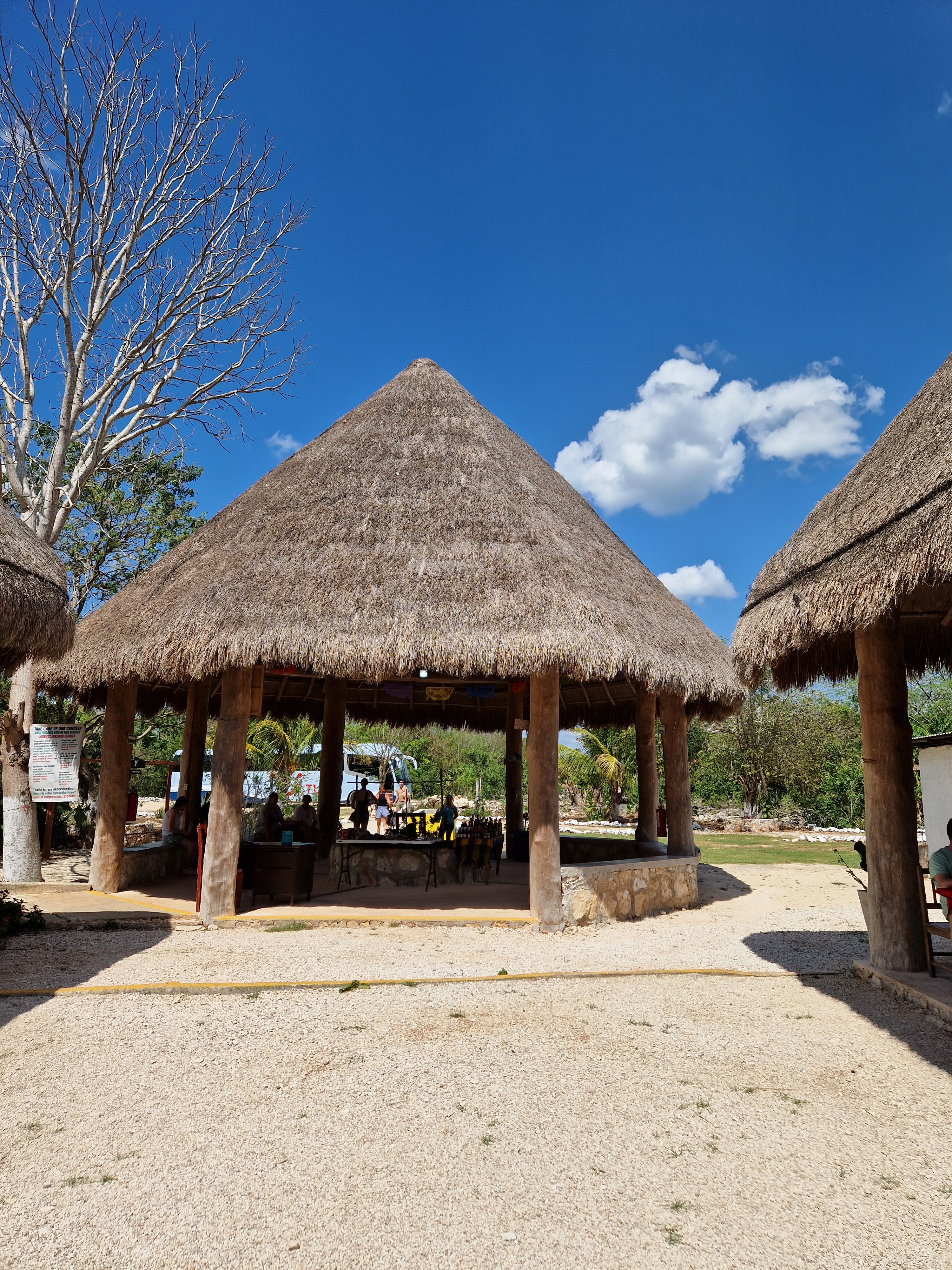 Restaurante Cenote Palomitas image 4