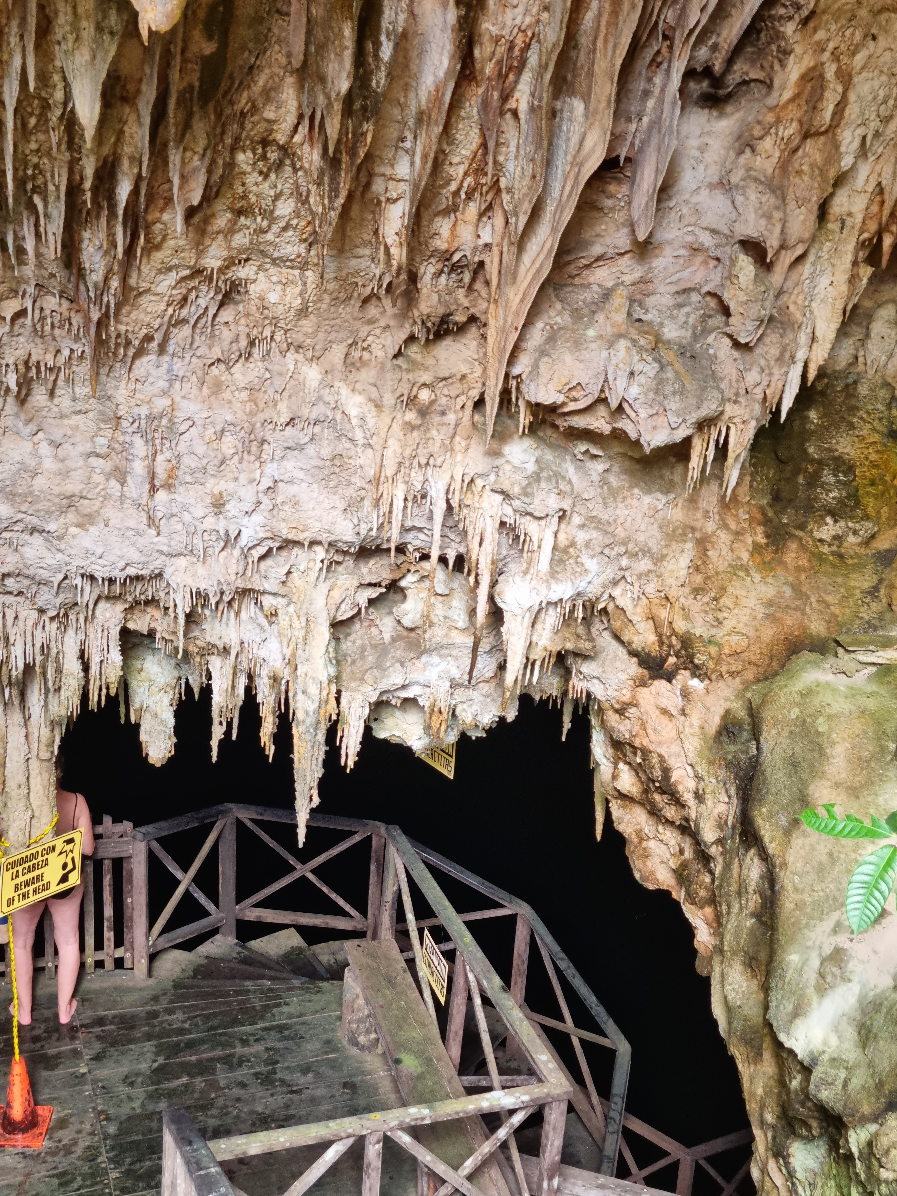 Restaurante Cenote Palomitas image 5
