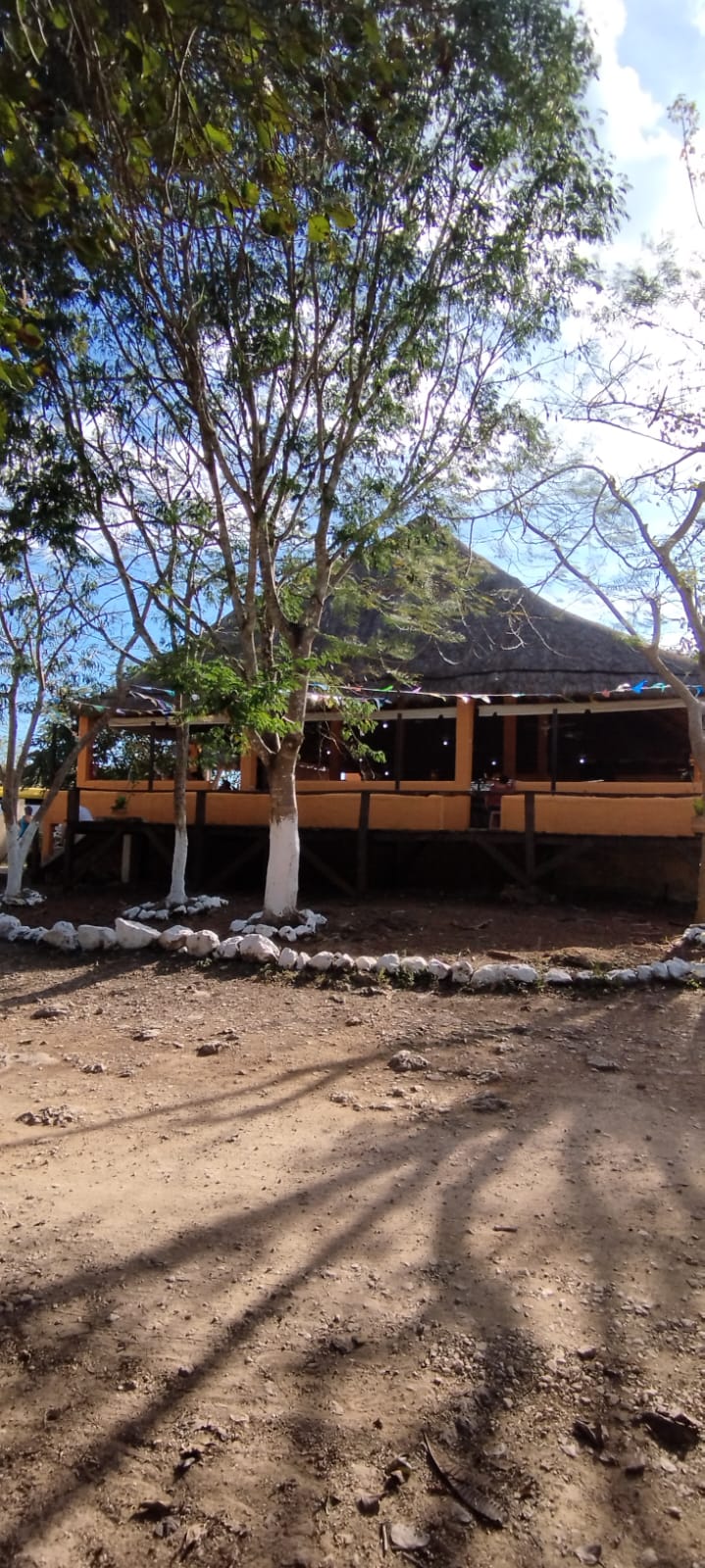 Restaurante Cenote Palomitas image 7