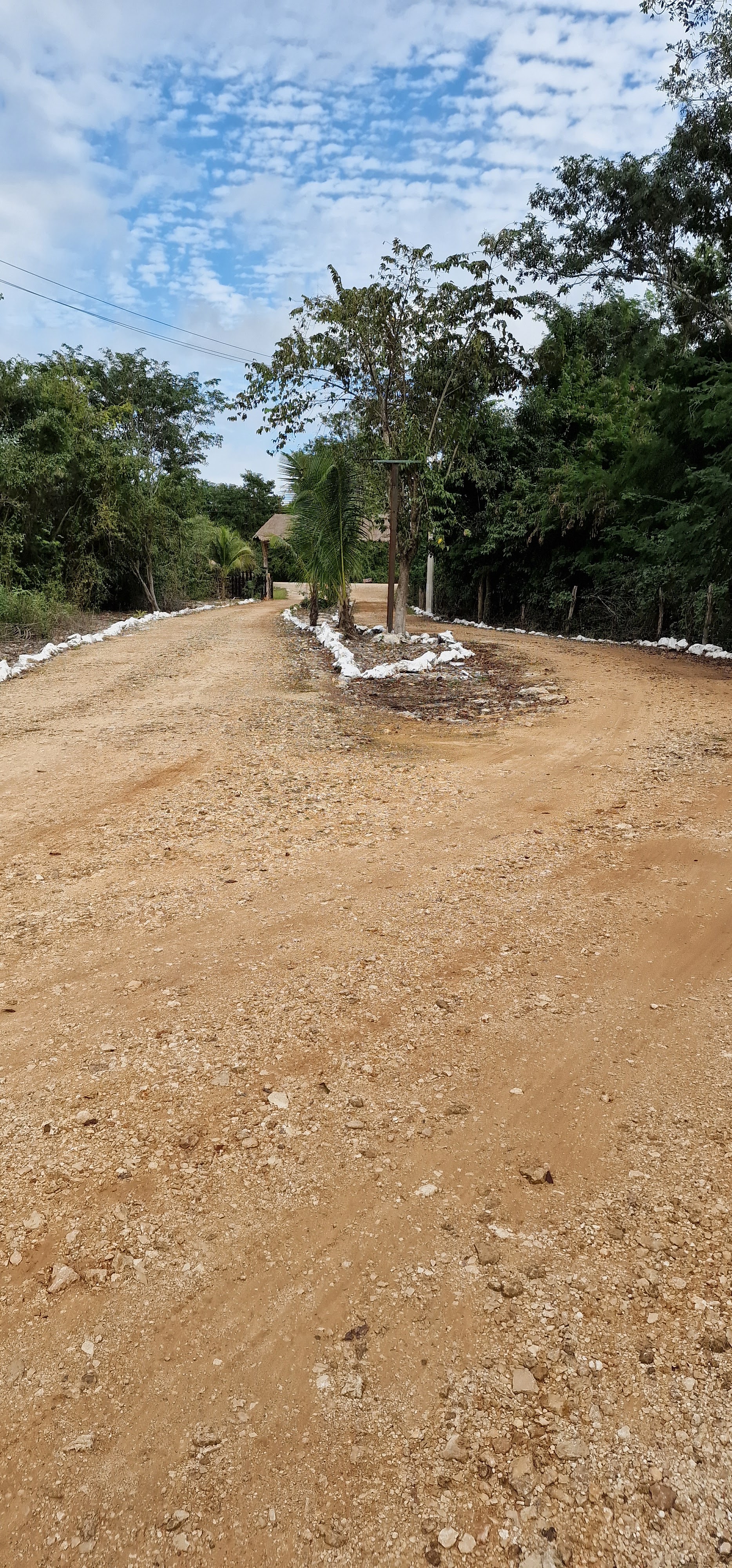 Restaurante Cenote Palomitas image 8