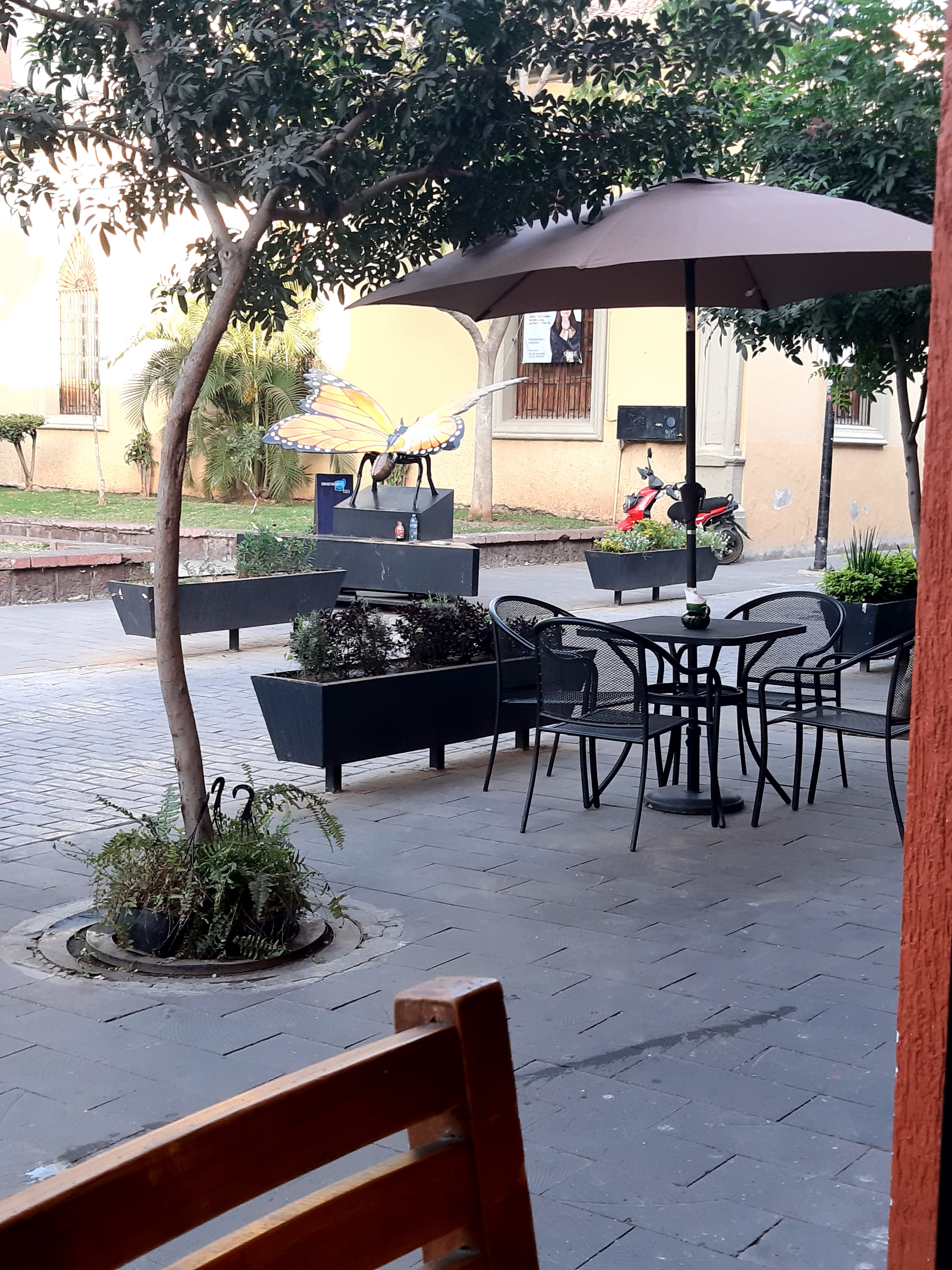 Los Pioneros image 1