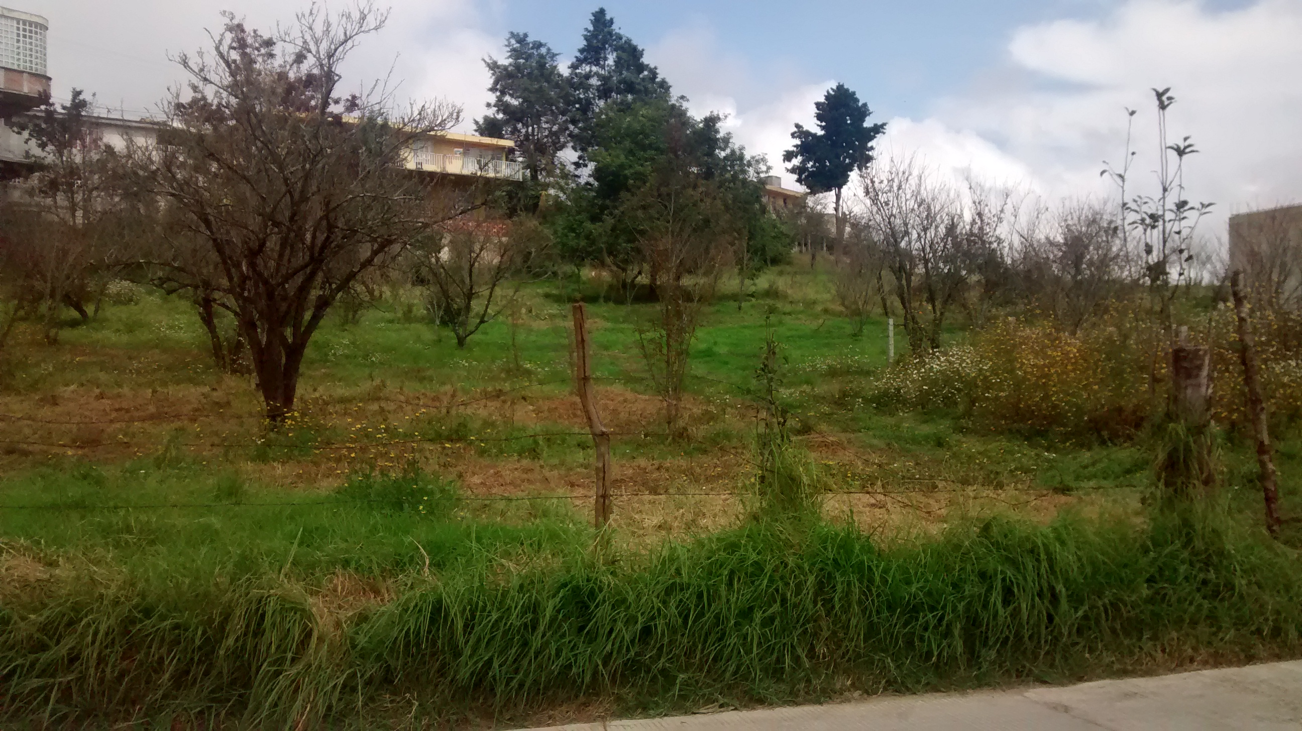 Marisquería El Mesón de Veracruz image 5