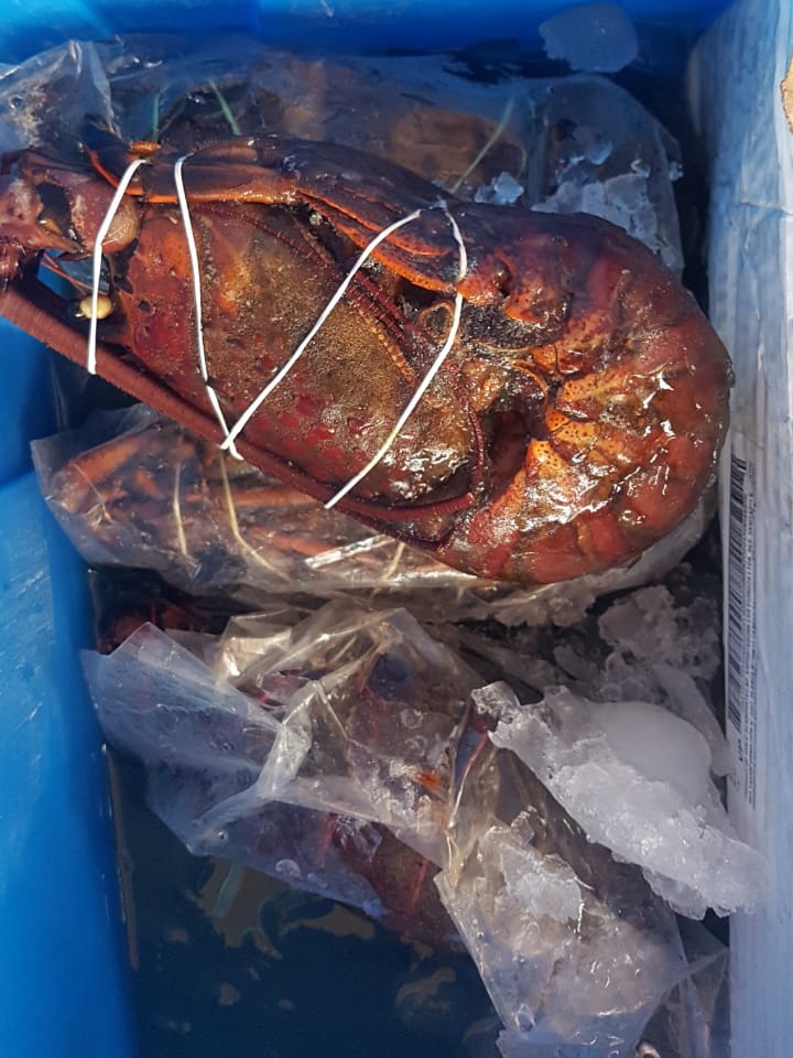 Marisquería El Mesón de Veracruz image 9