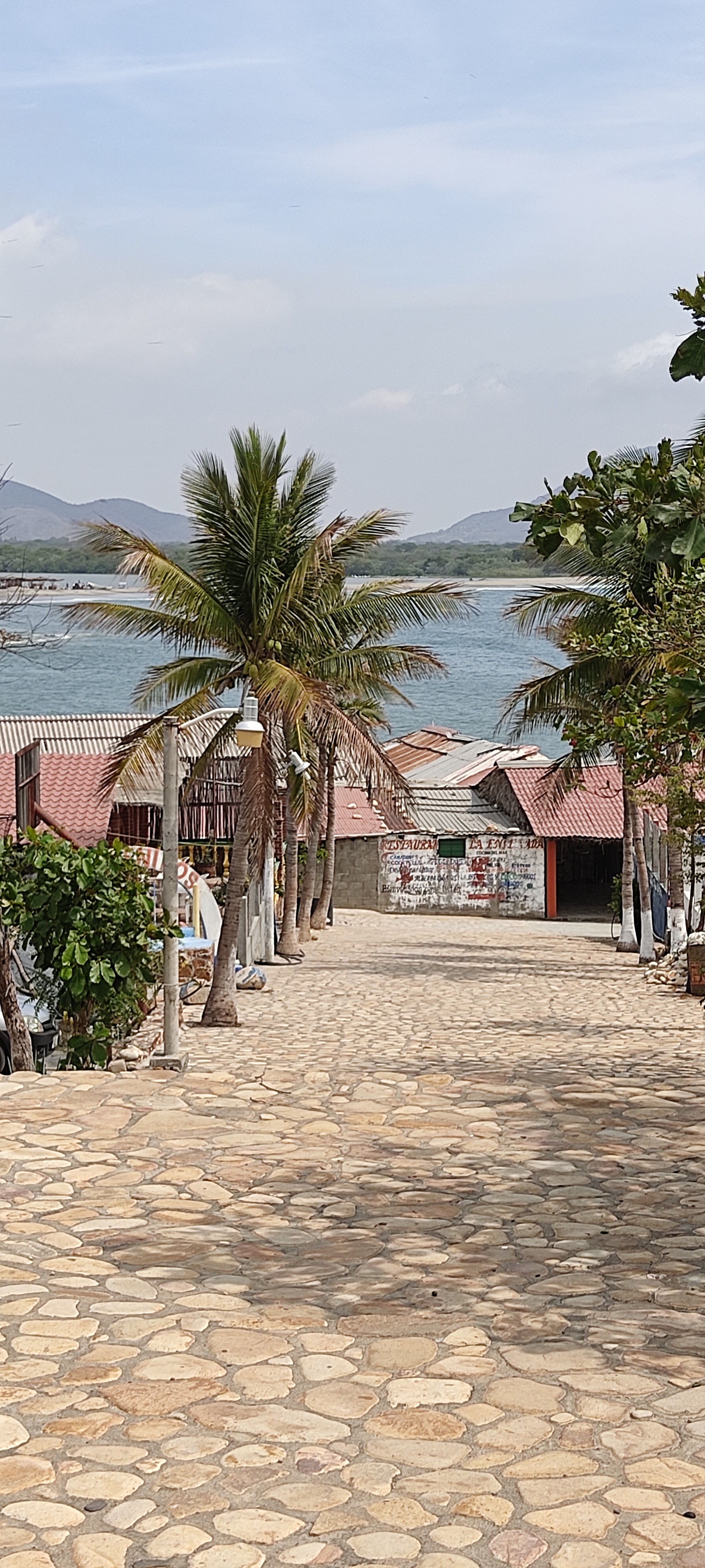 Restaurant MARY image 5