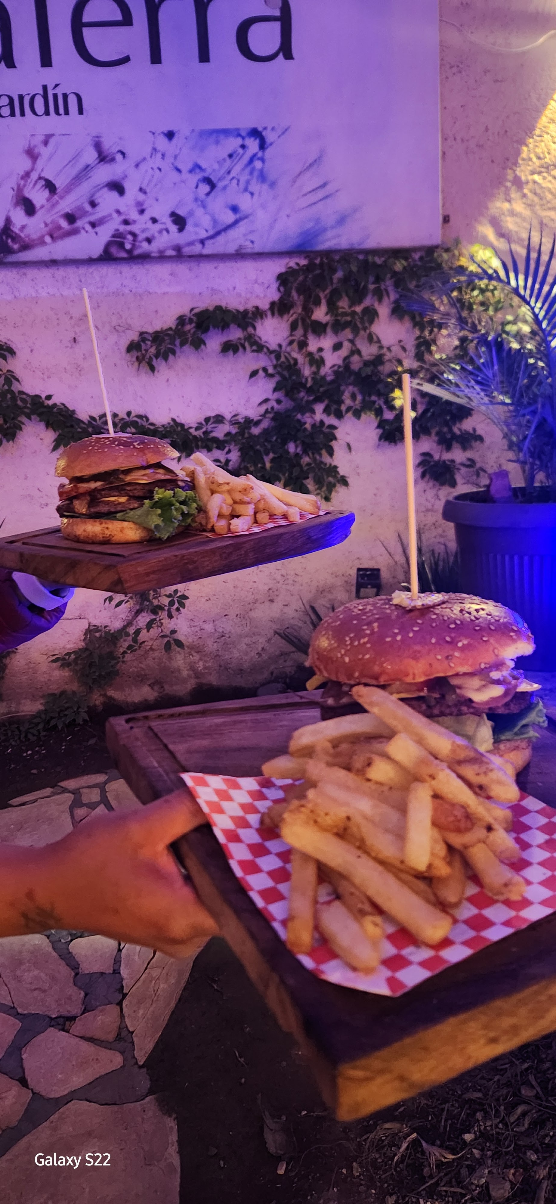 Bellaterra, Restaurant, jardín/Terraza. image 6