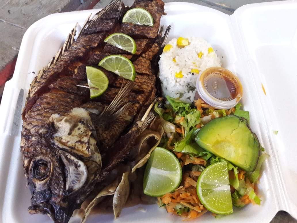 El Palmar De Margaritas image 2