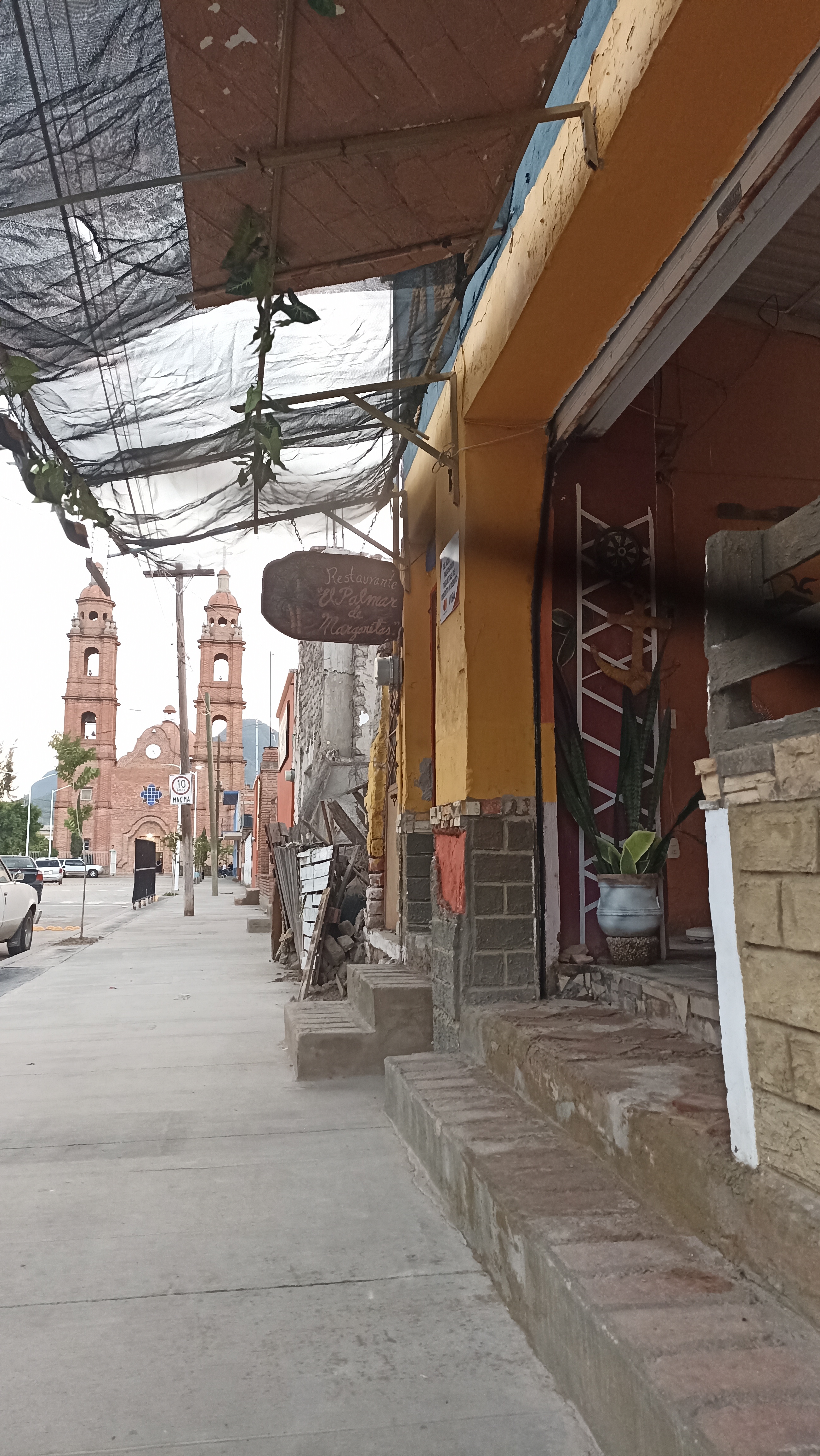 El Palmar De Margaritas image 10