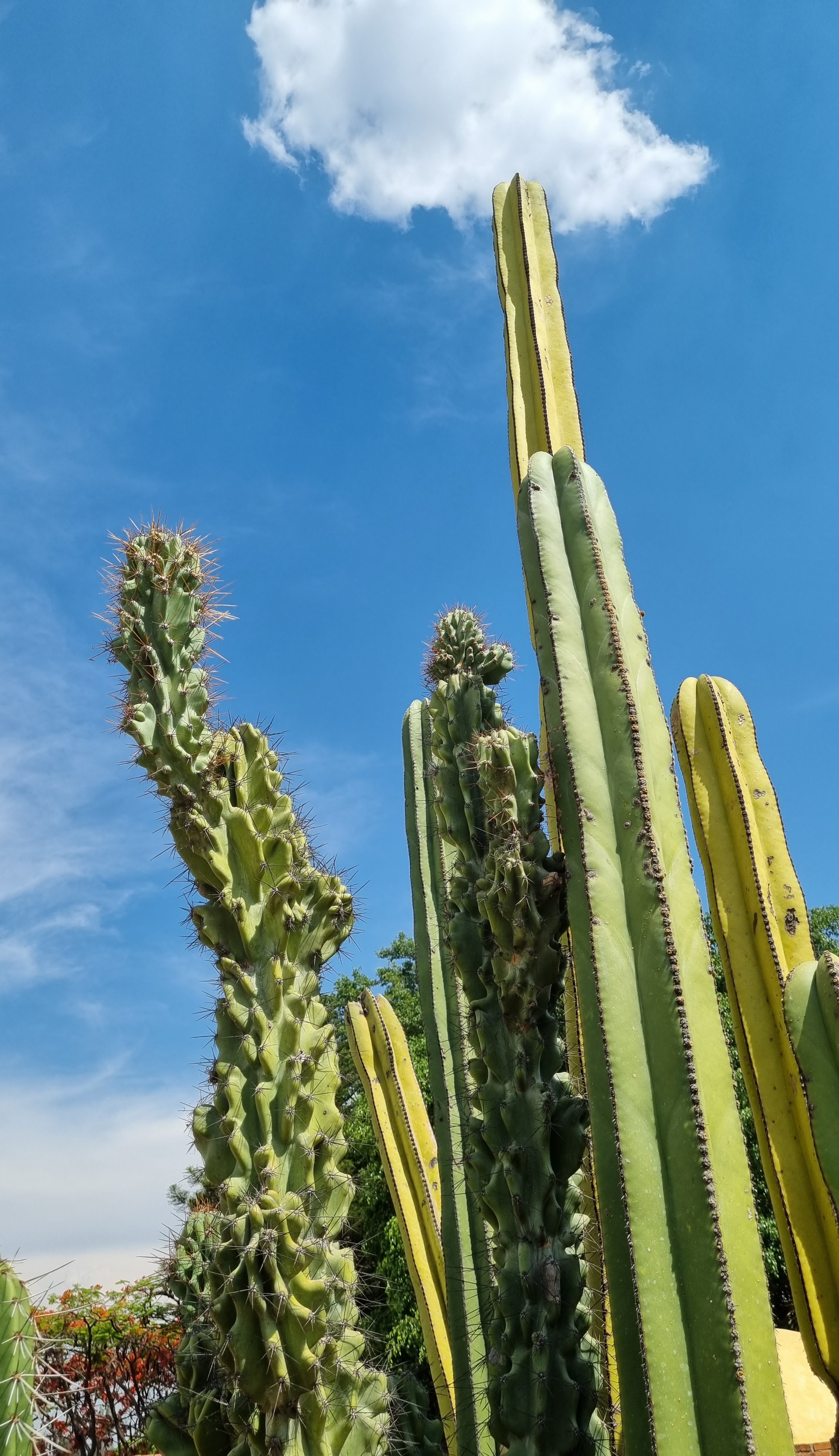 Charly's restaurant image 8