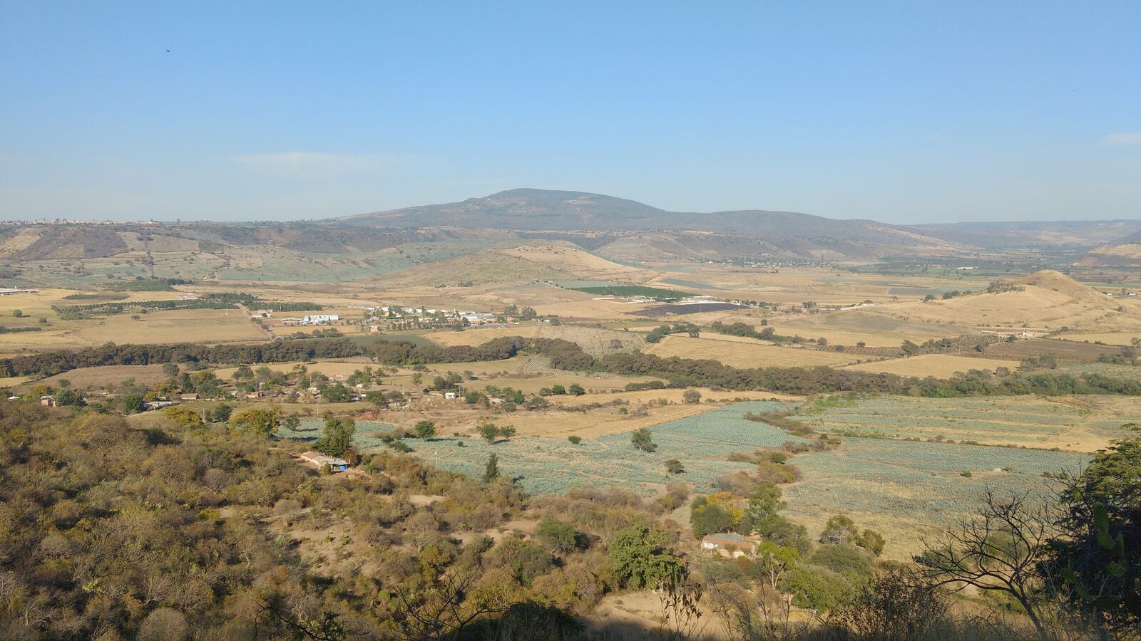 La Posta image 10