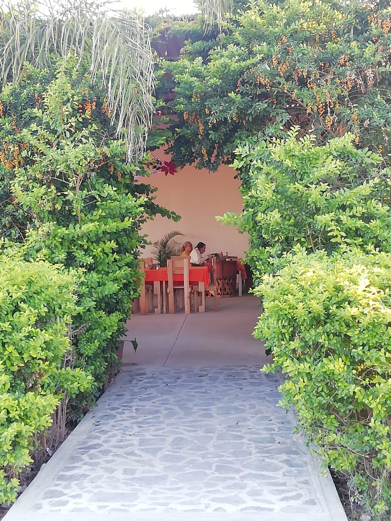 Restaurant Familiar "La Terraza de Don Cuco” image 6