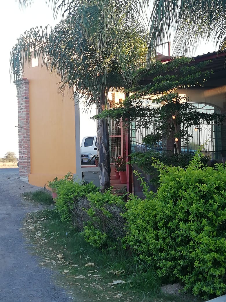 Restaurant Familiar "La Terraza de Don Cuco” image 10