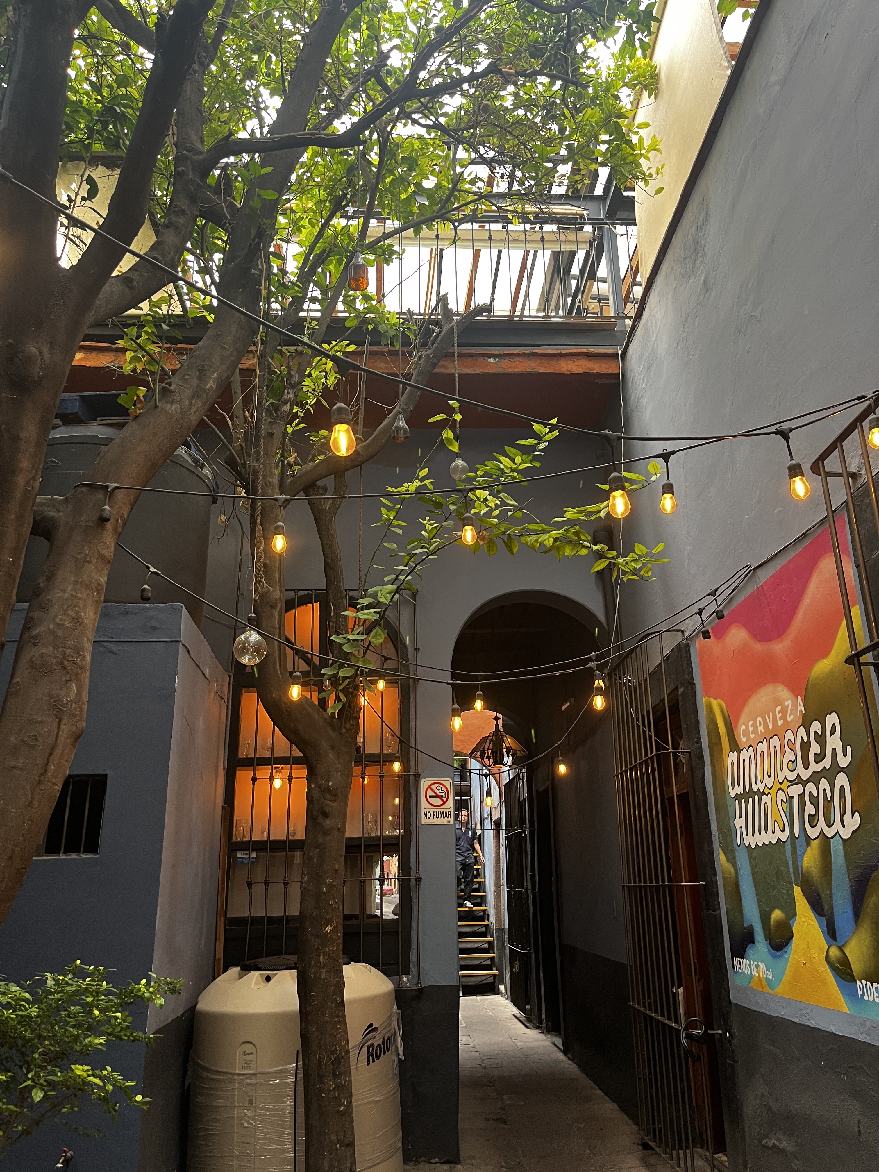 Bruselas - Restaurante Bar image 2