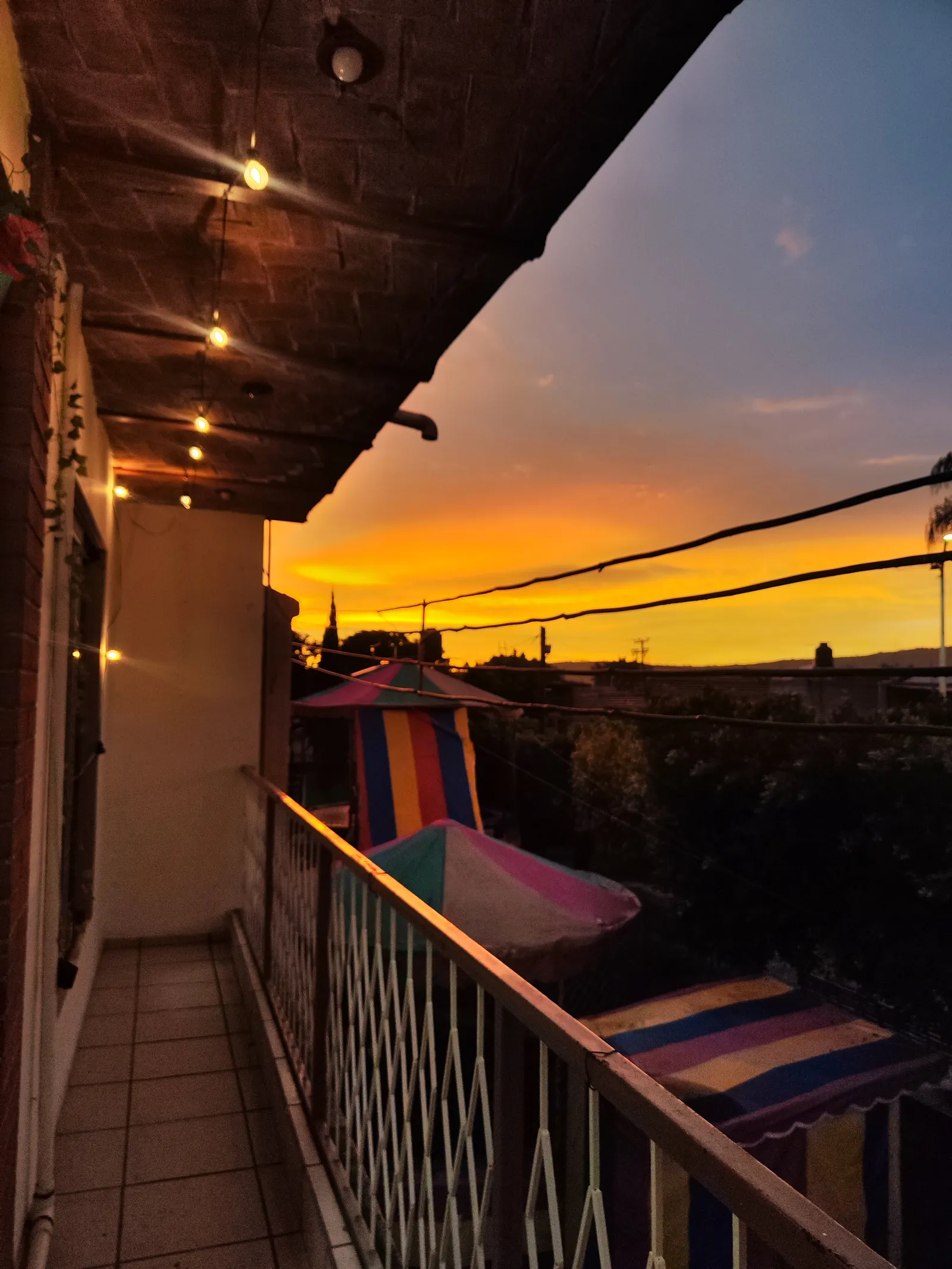 La casa de las alitas image 4