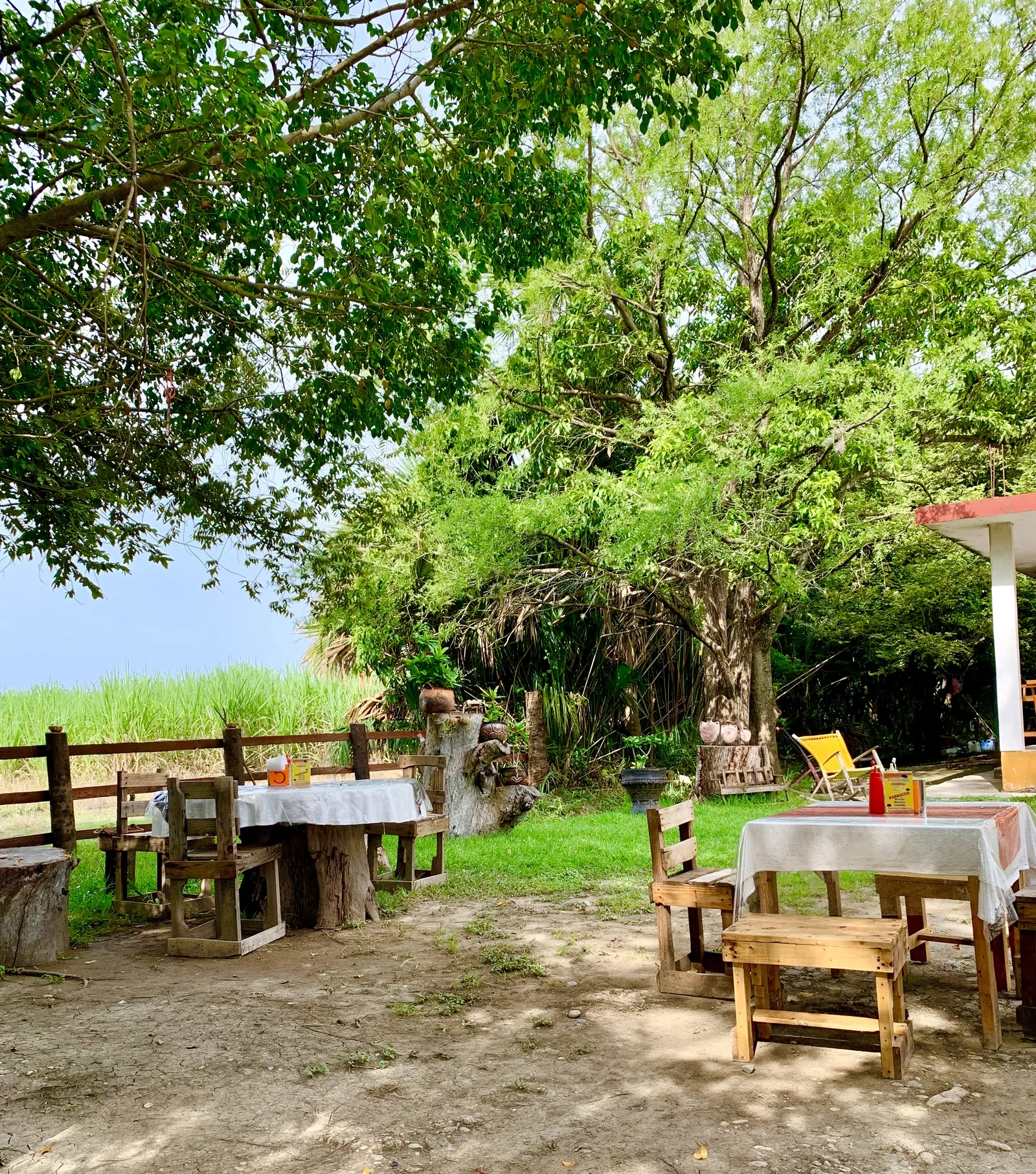 Los Arbolitos image 1