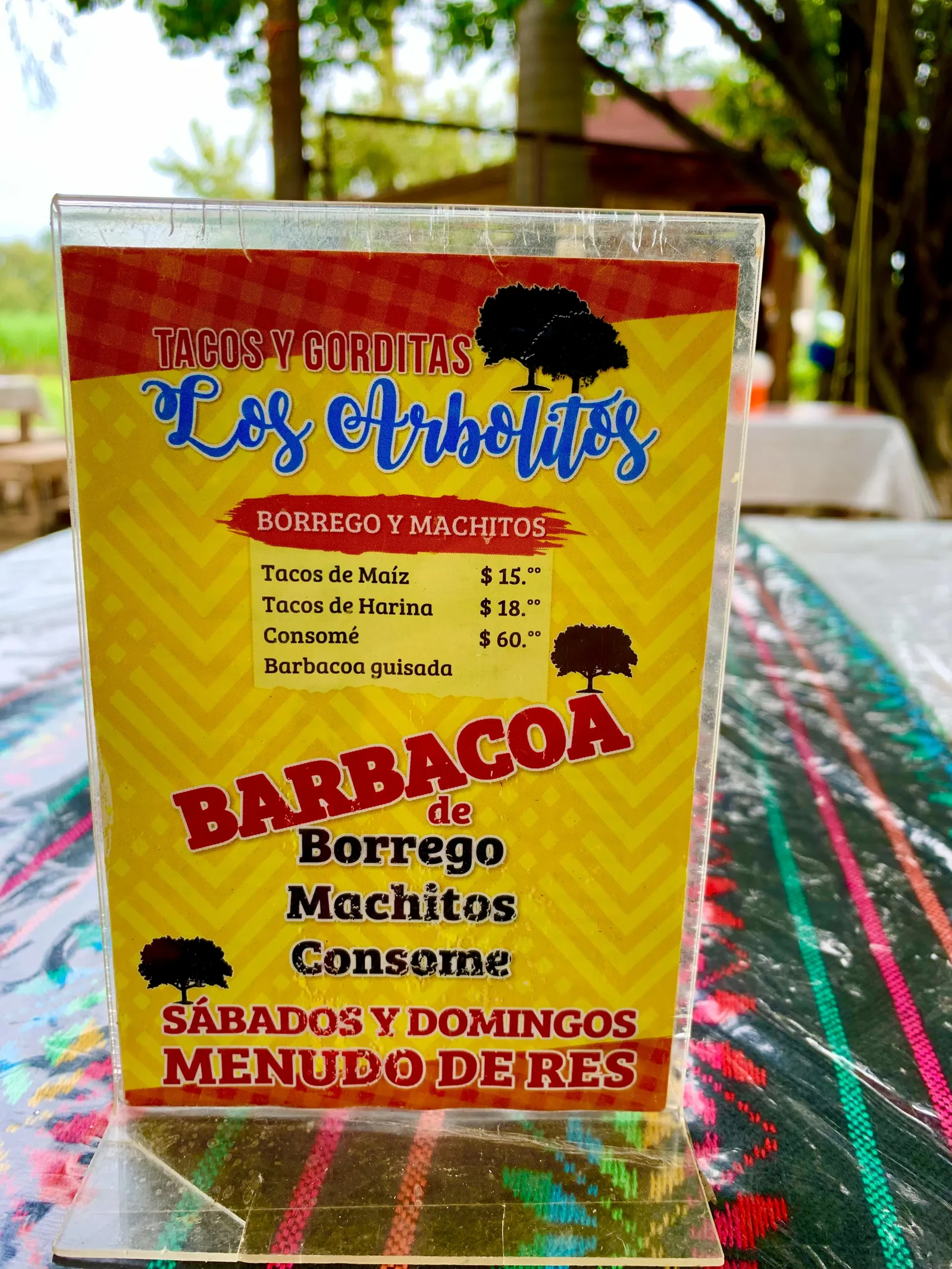 Los Arbolitos image 5