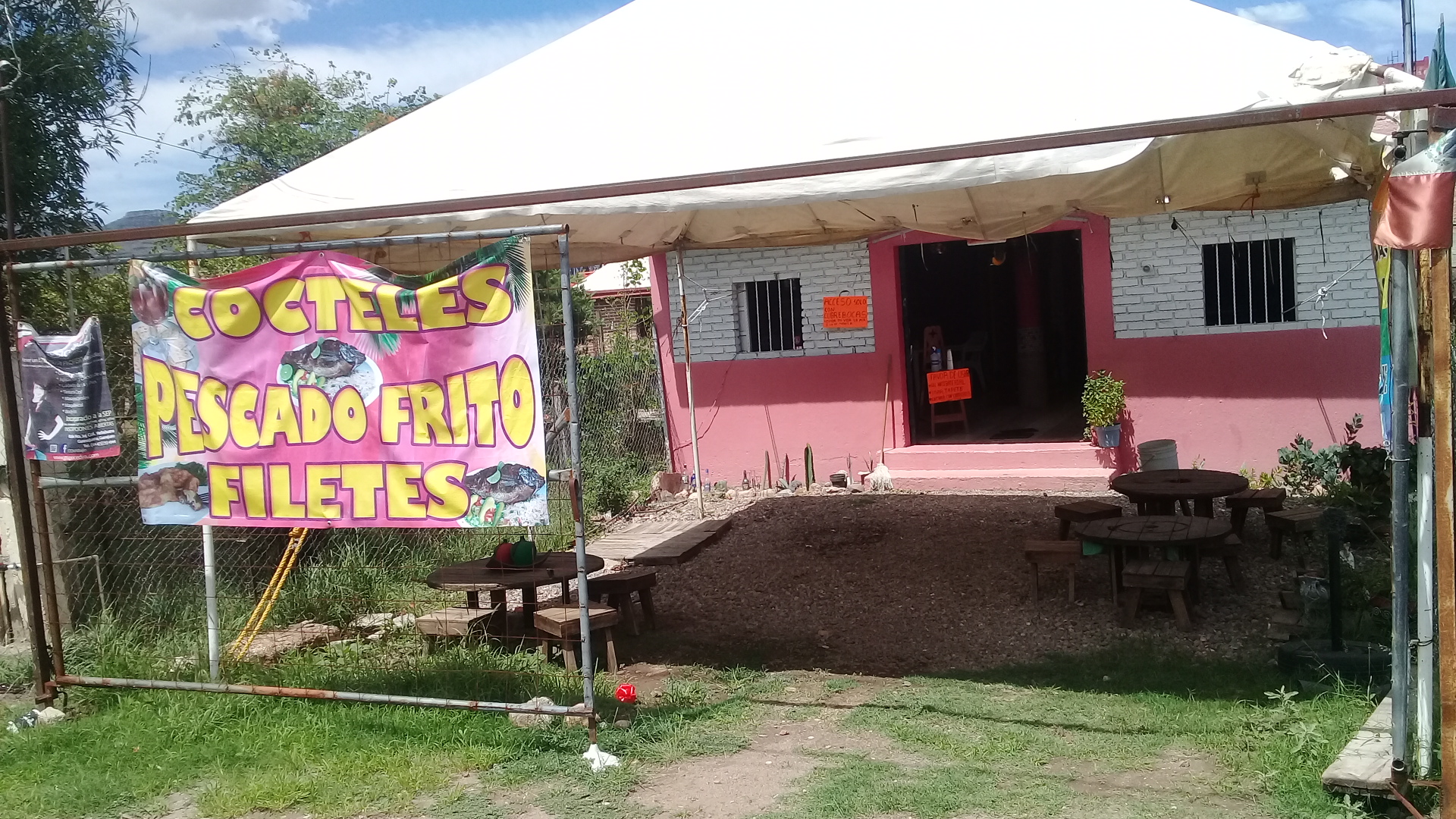 Bar La Cruda image 4