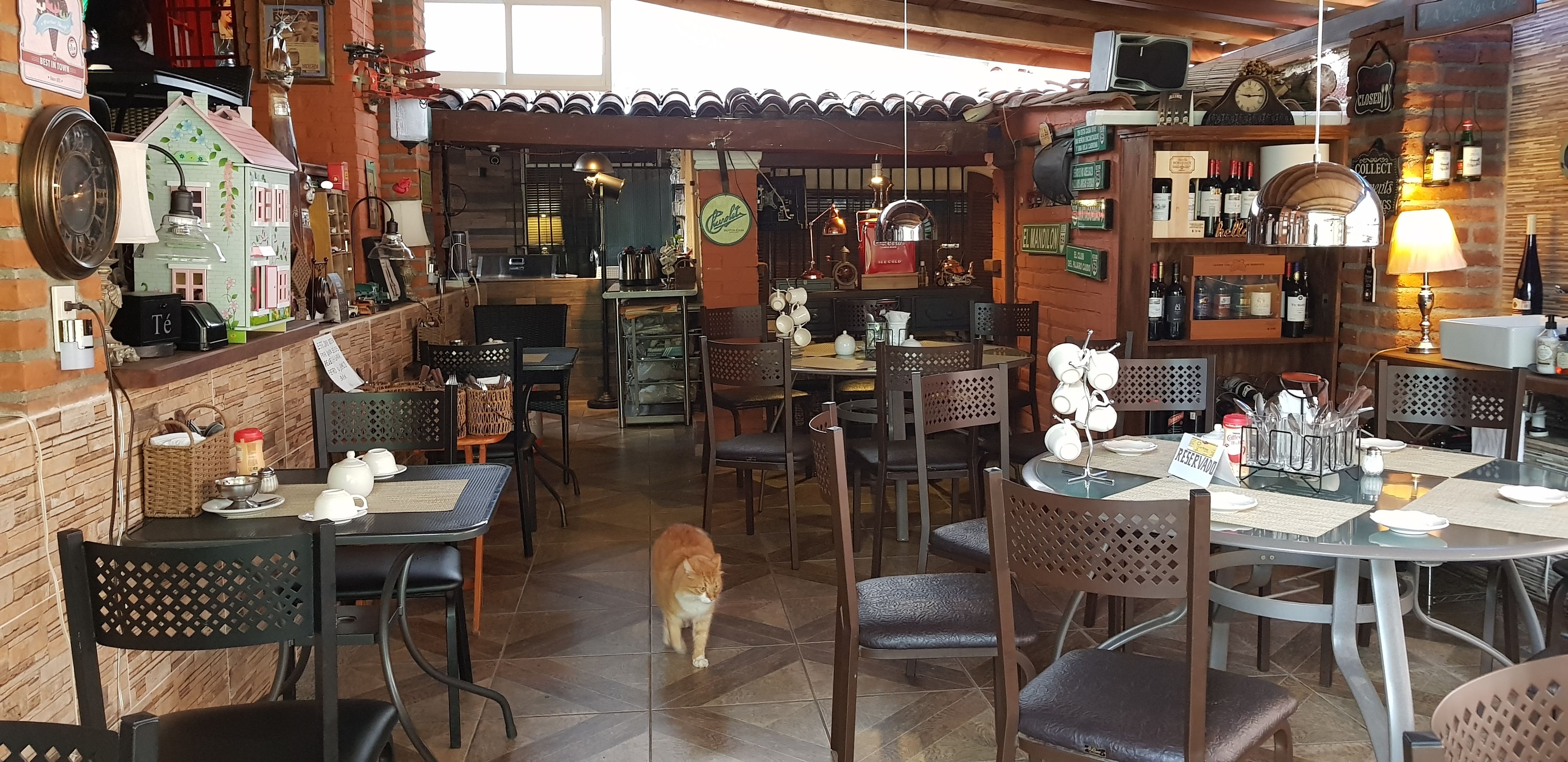 la antigua 1910 image 9