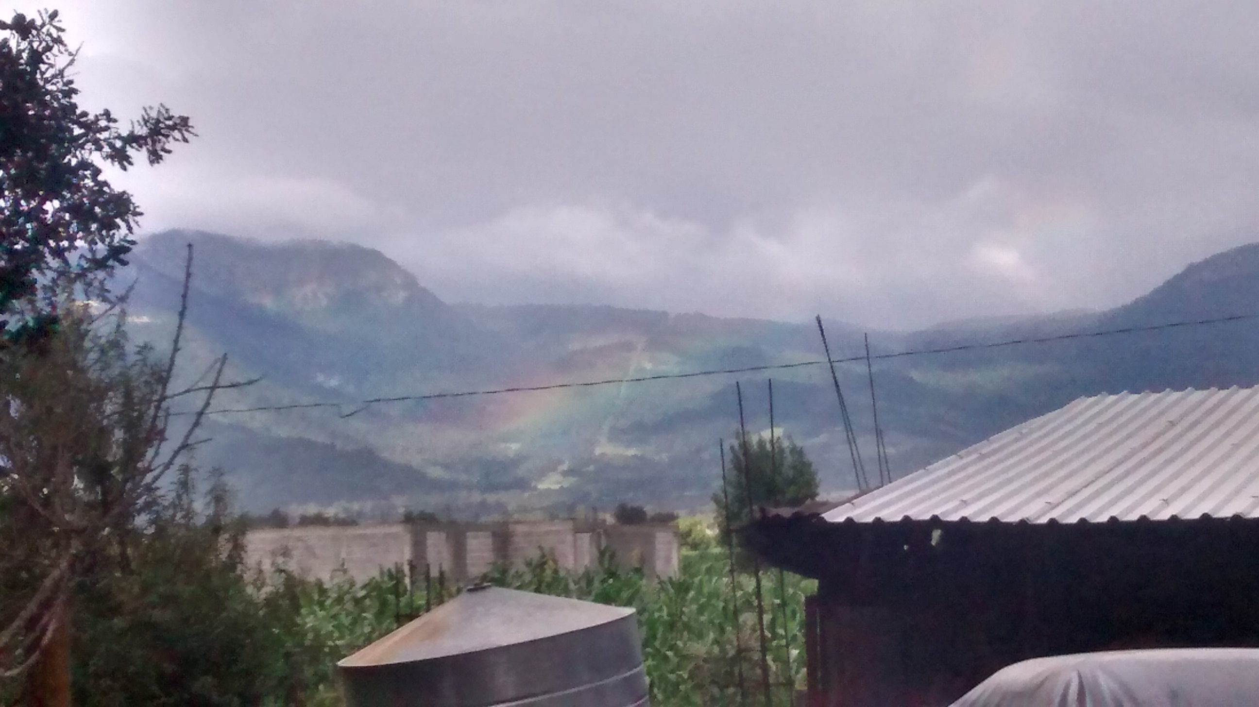 Barbacoa "El Borrego Salvaje" image 6