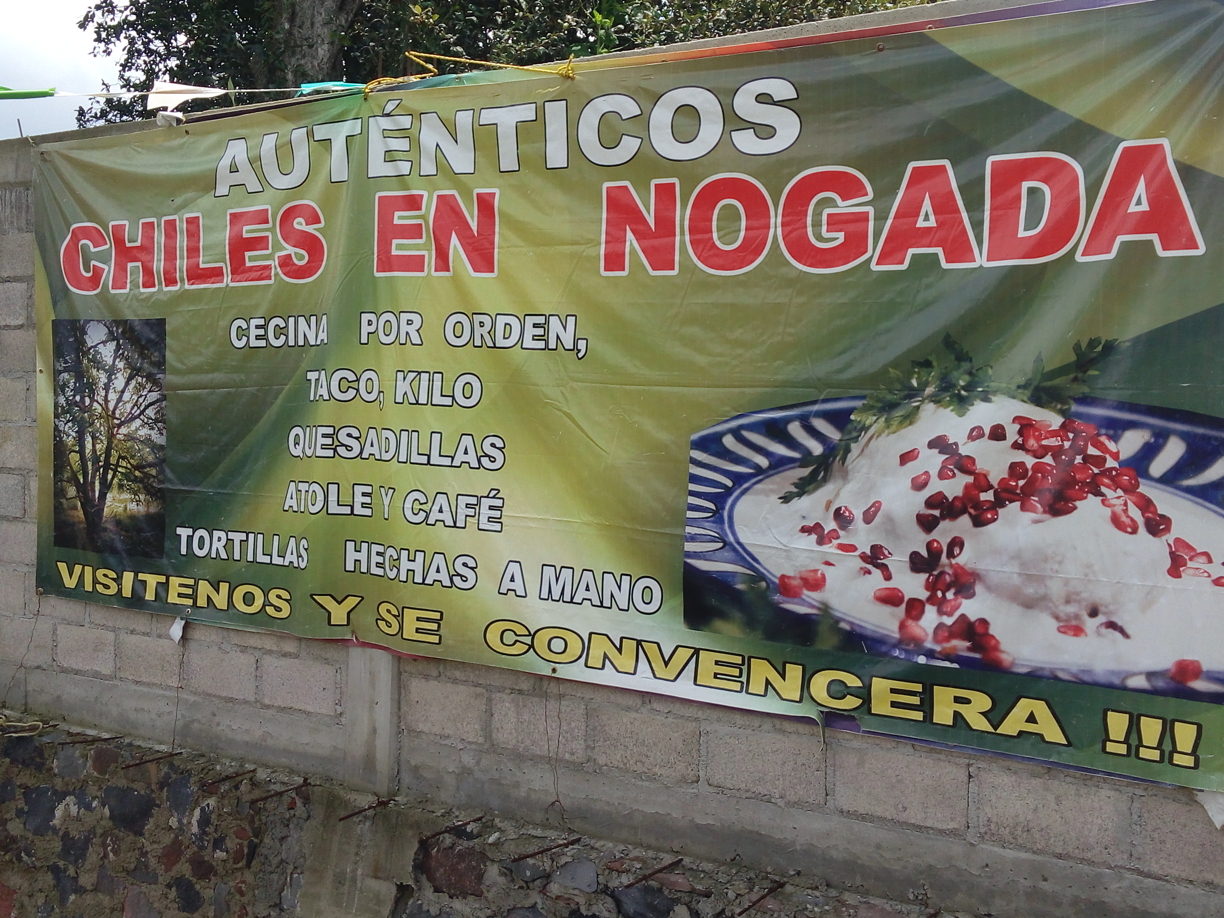 Chiles En Nogada, Los auténticos de la Nogalera image 8