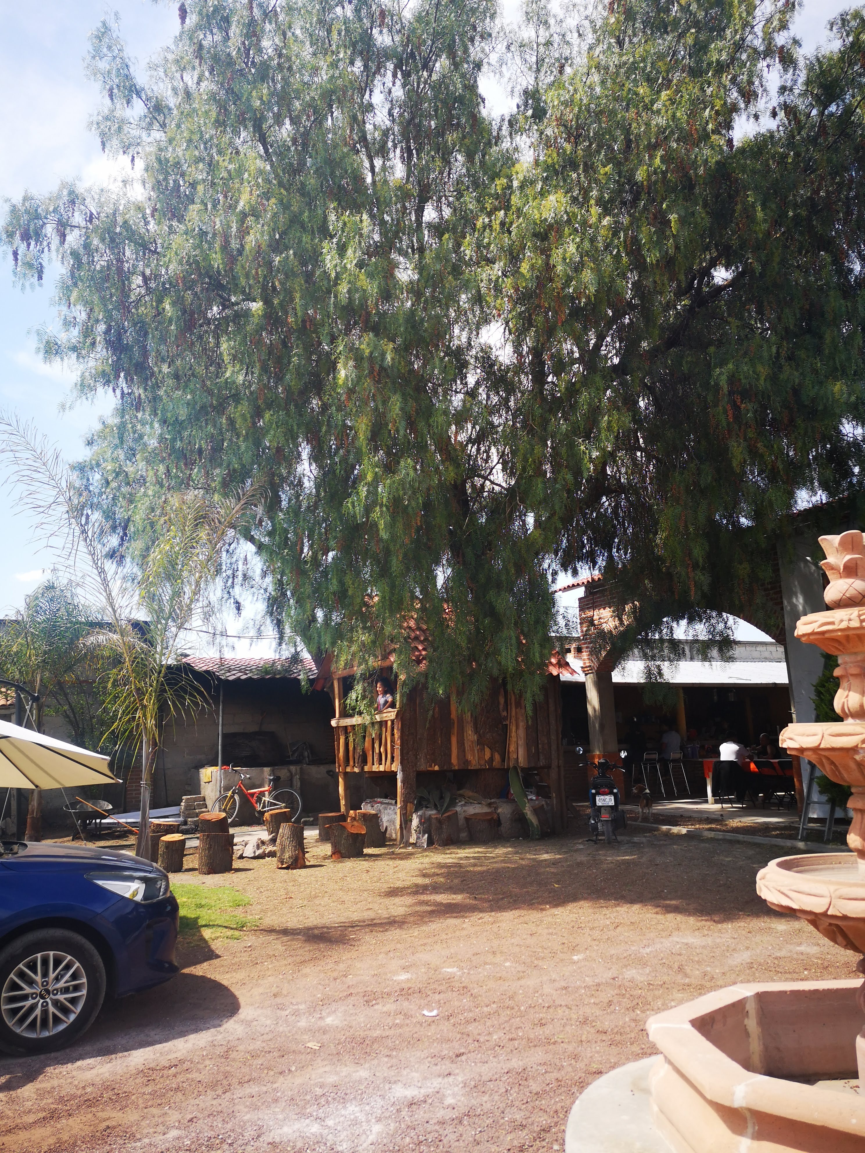 Barbacoa "La Quinta" image 1