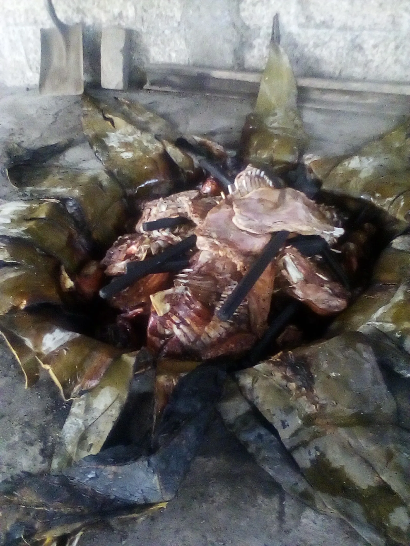 Barbacoa El Rey image 3