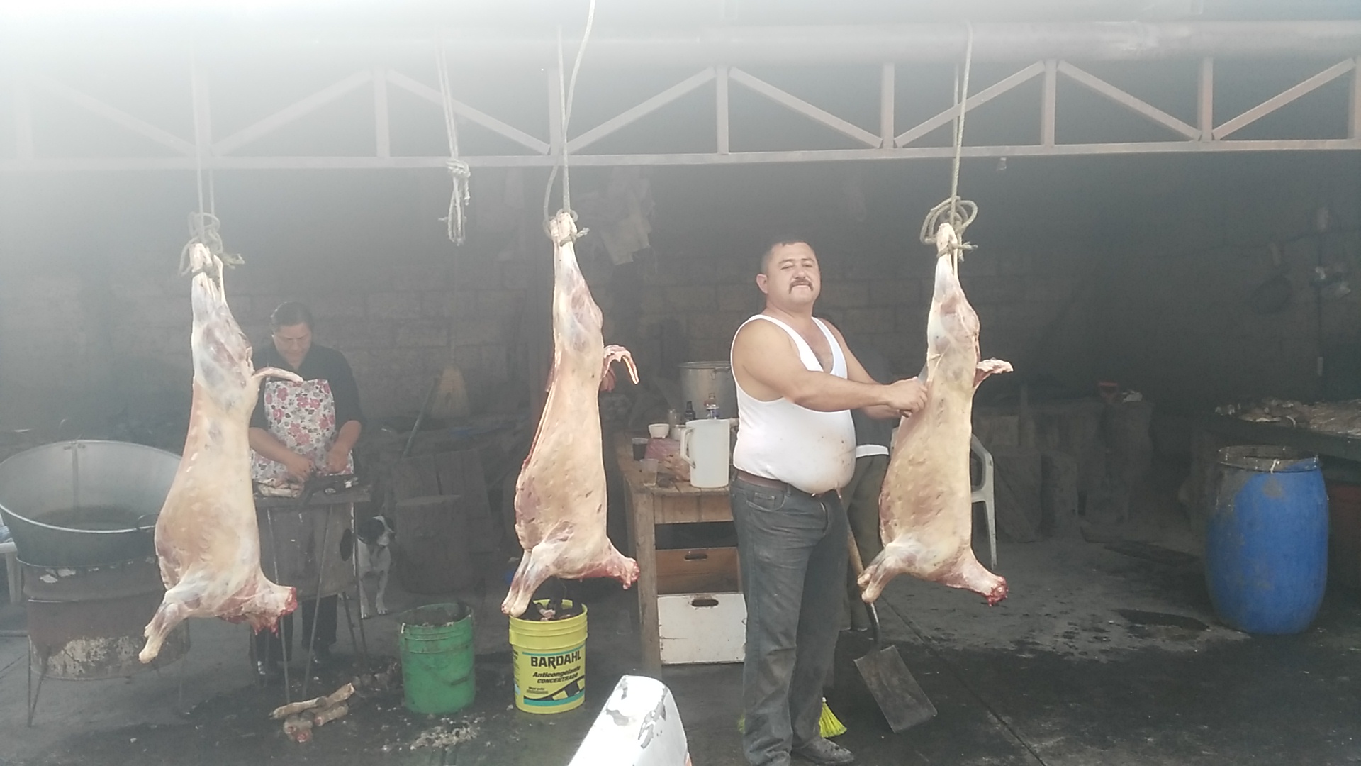 Barbacoa El Rey image 7