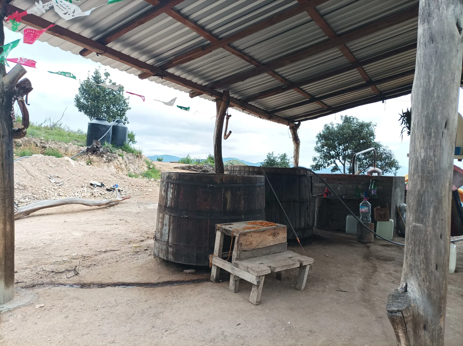Mezcal image 2
