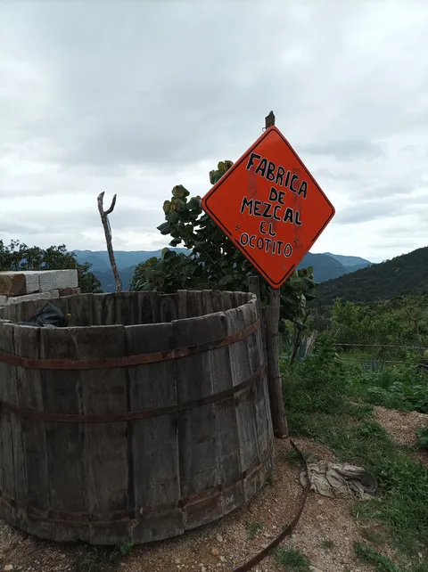Mezcal image 6
